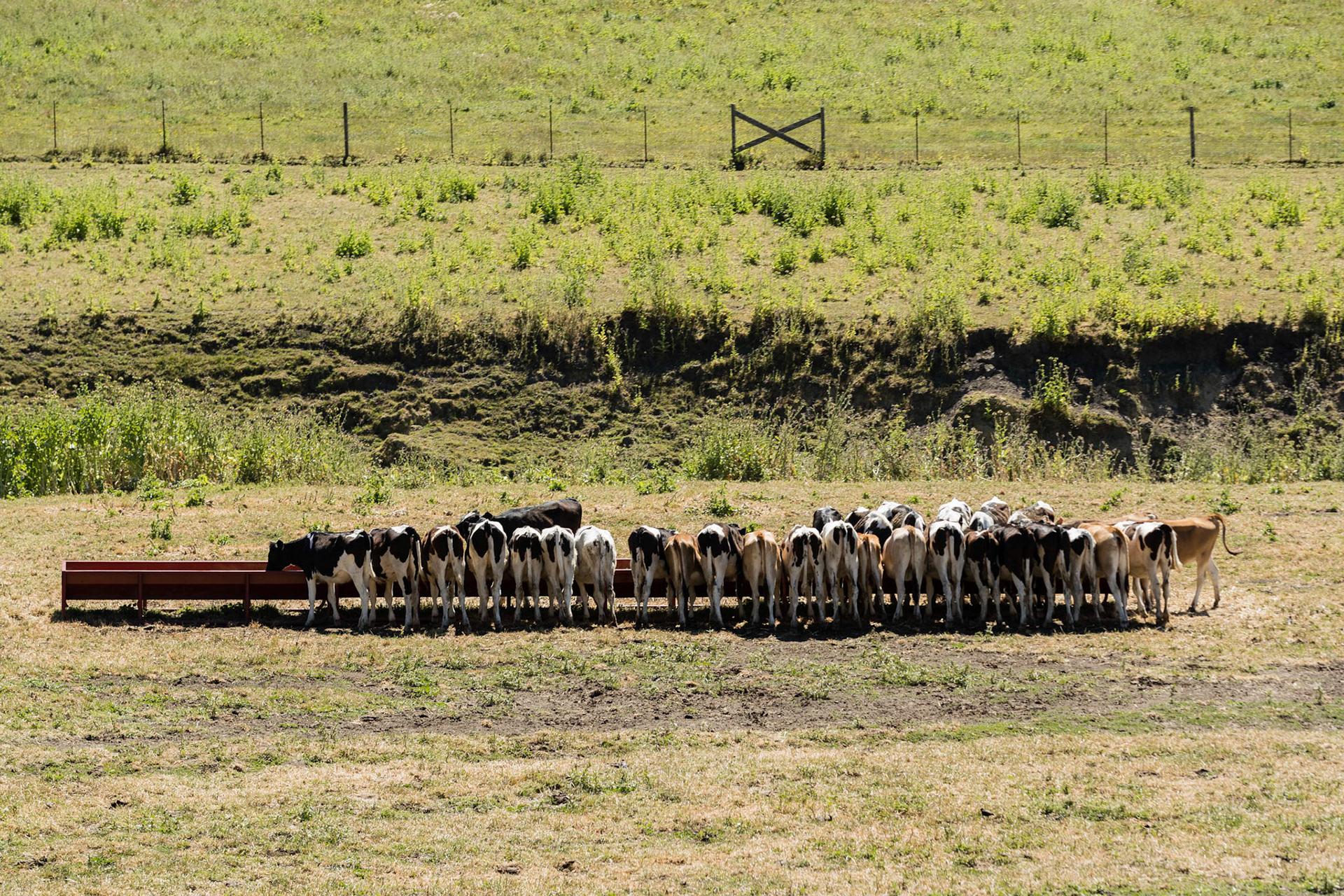 persona; - random travel