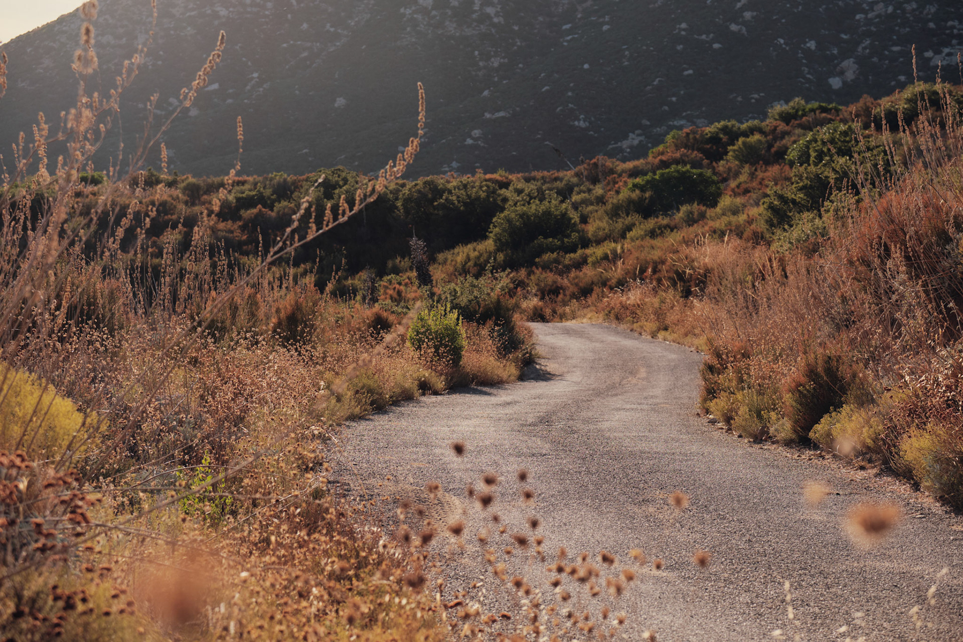 2020 Giant Contend AR