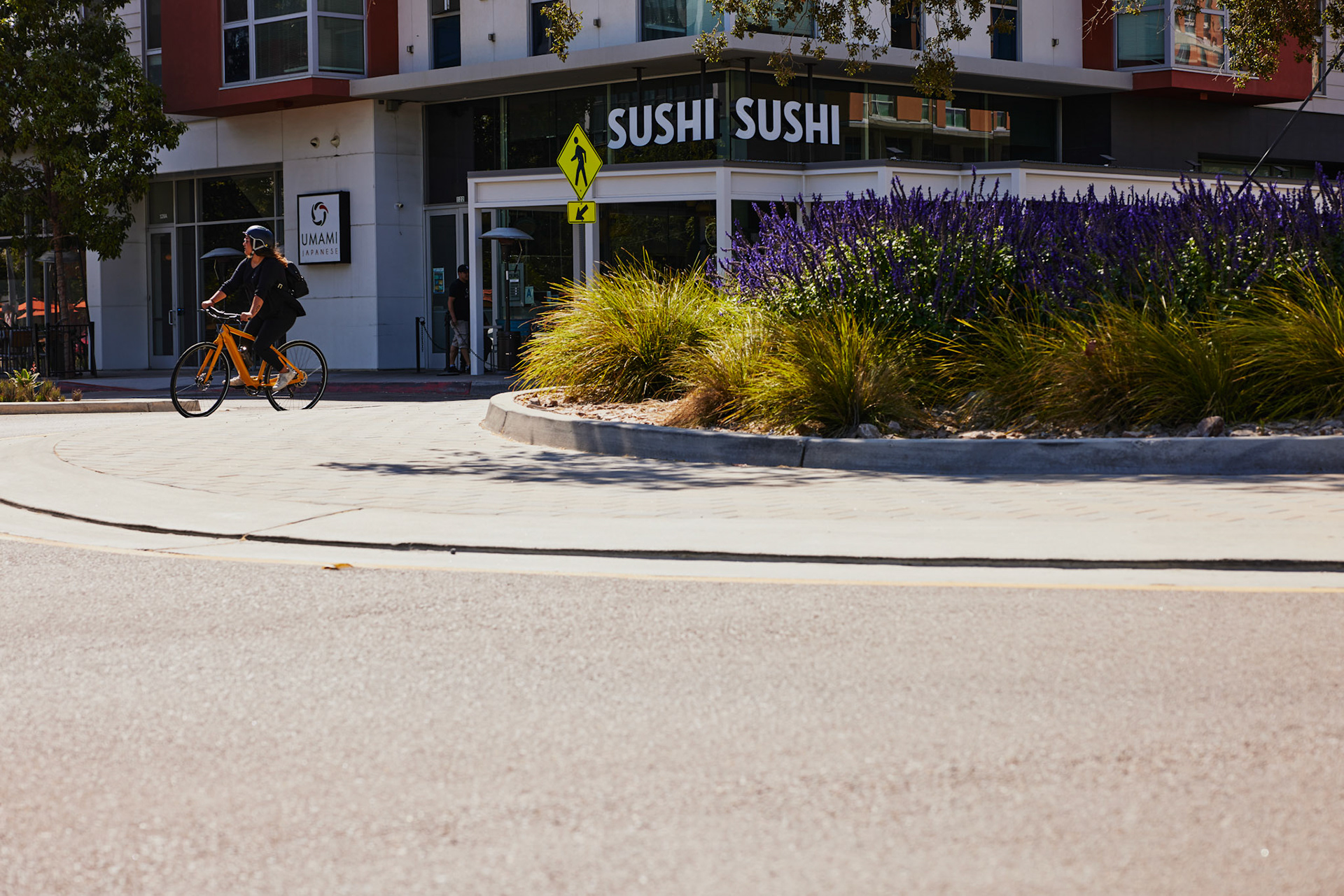 Momentum Outdoor Shoot