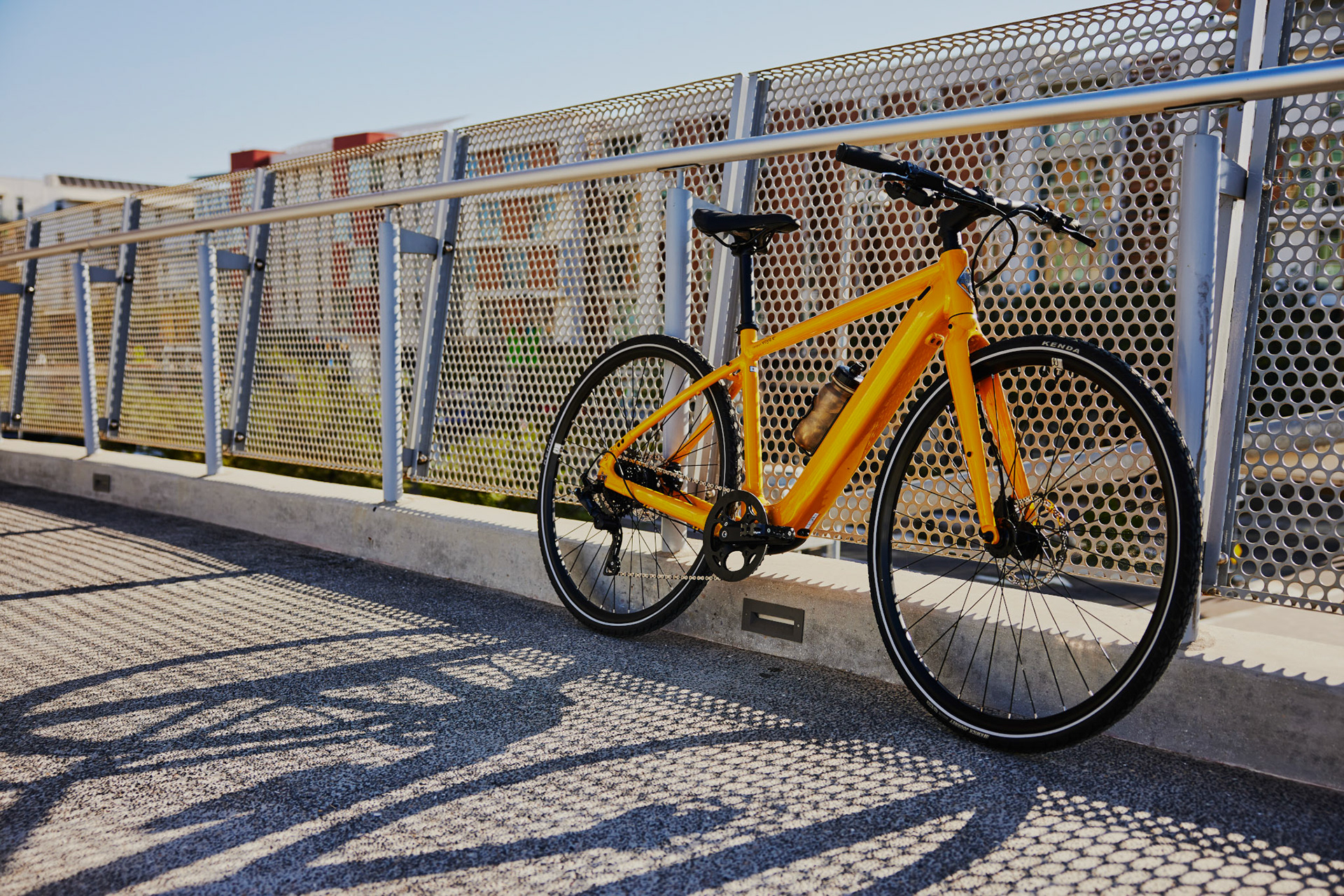 Momentum Outdoor Shoot