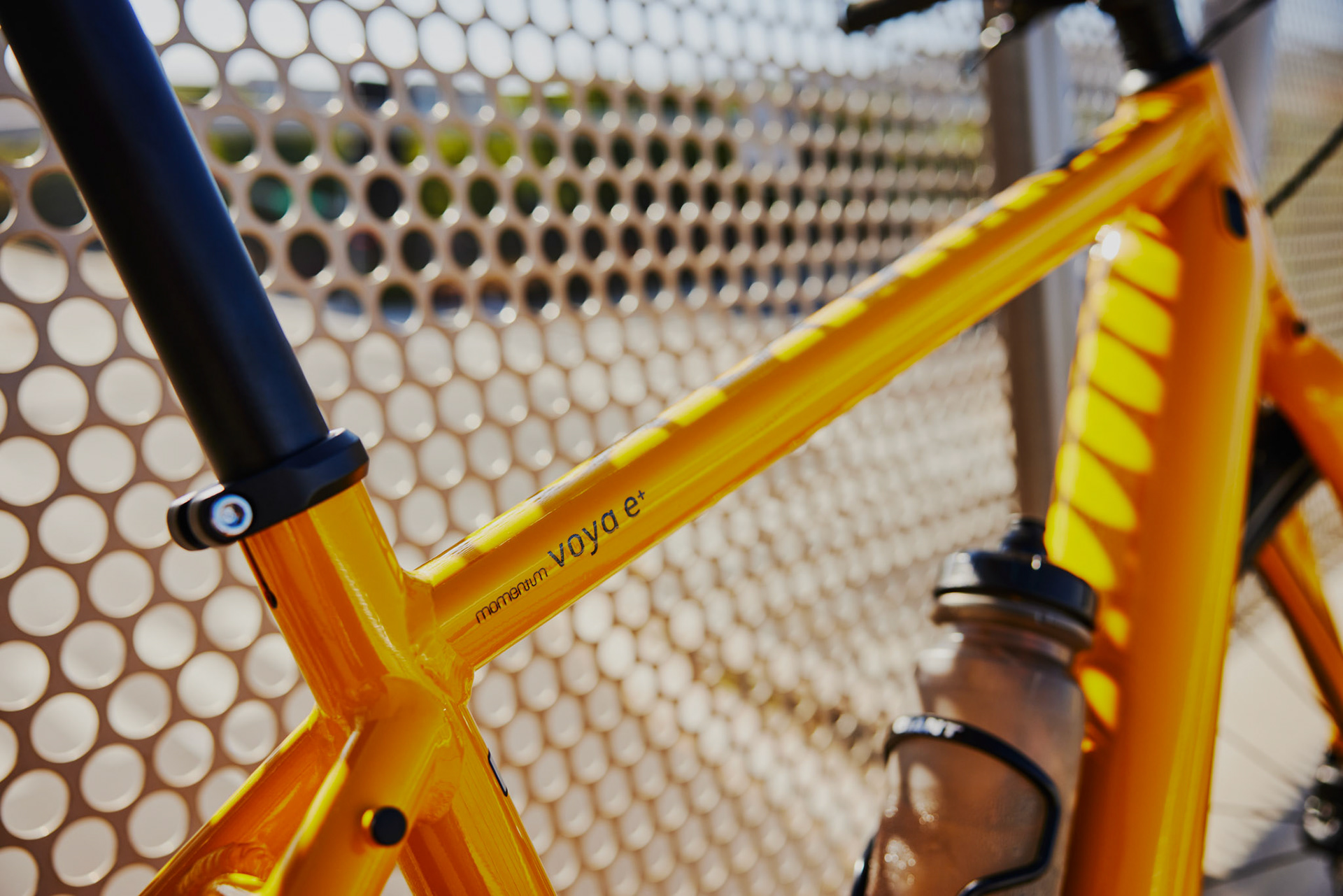 Momentum Outdoor Shoot