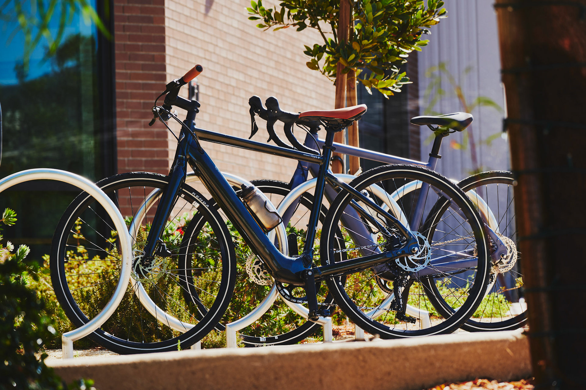 Momentum Outdoor Shoot