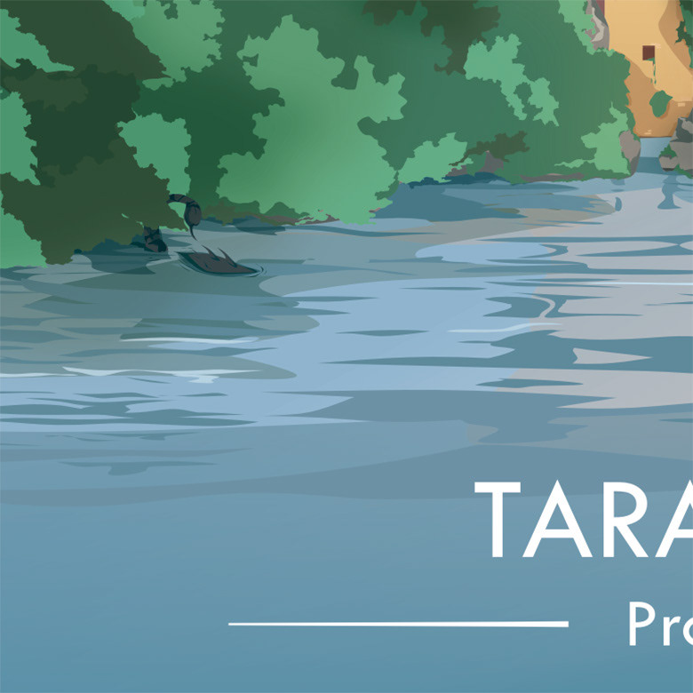 Zoom Tarasque