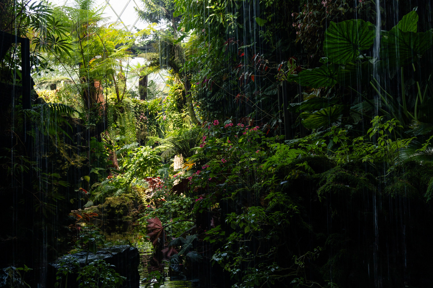 Flower Dome, Singapore