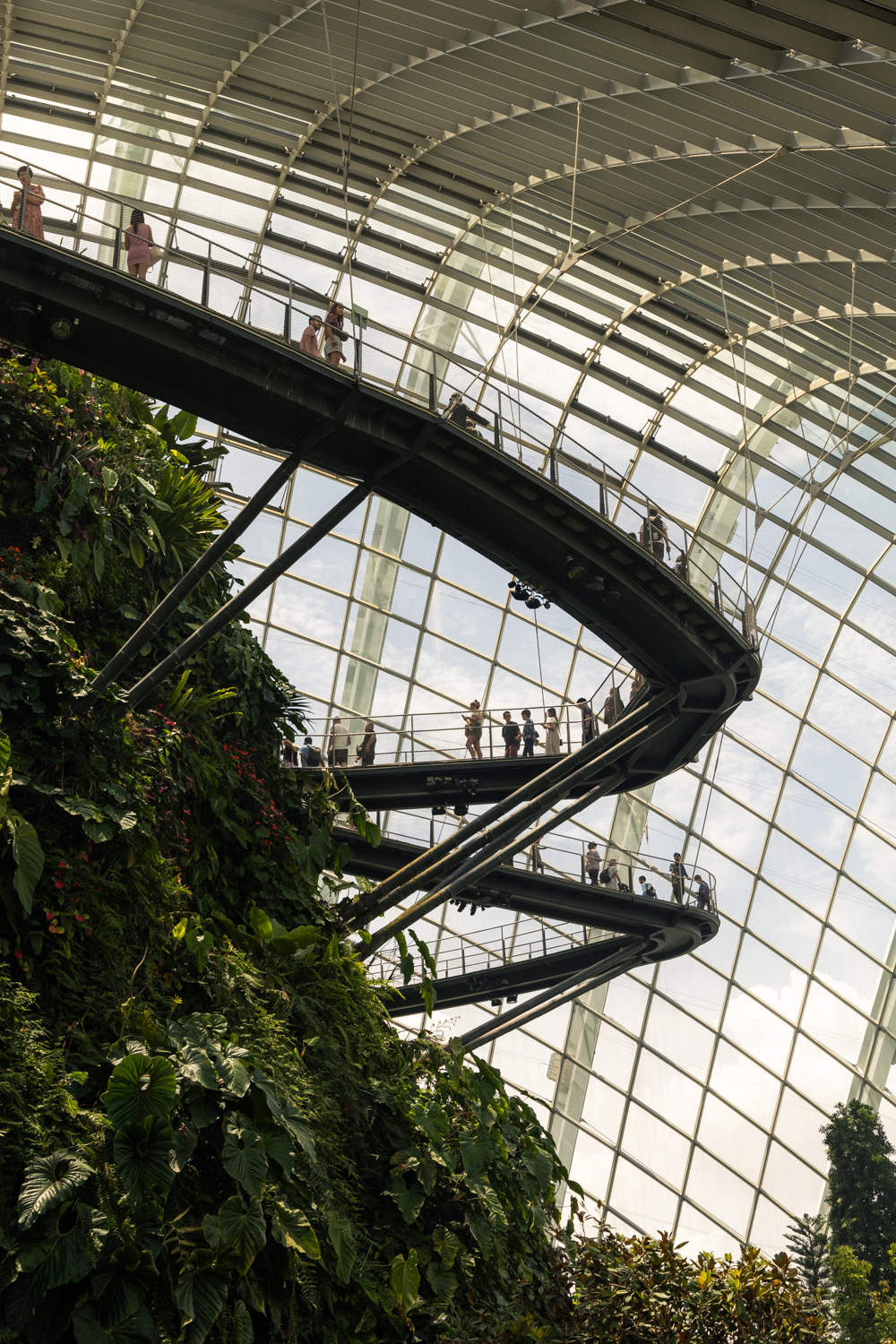 Cloud Forest, Singapore