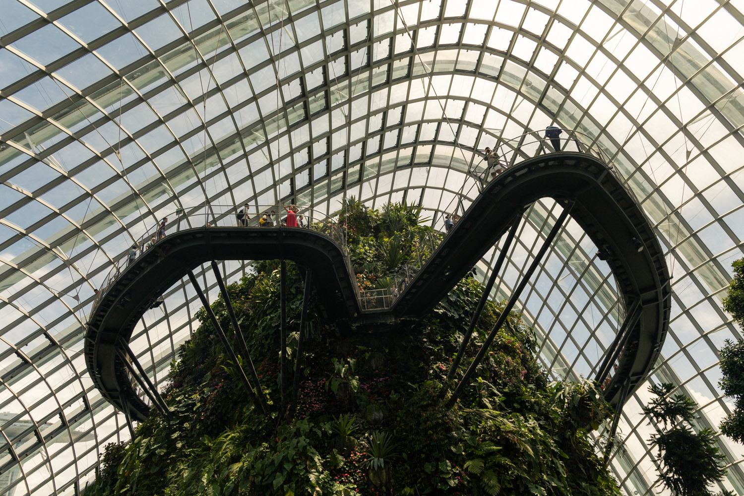 Cloud Forest, Singapore