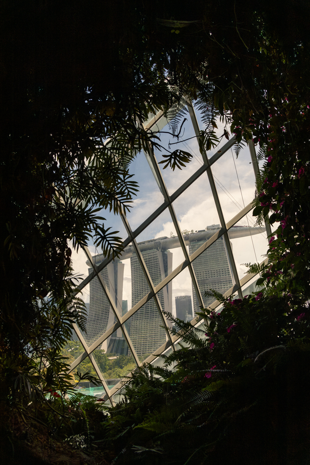 Cloud Forest, Singapore