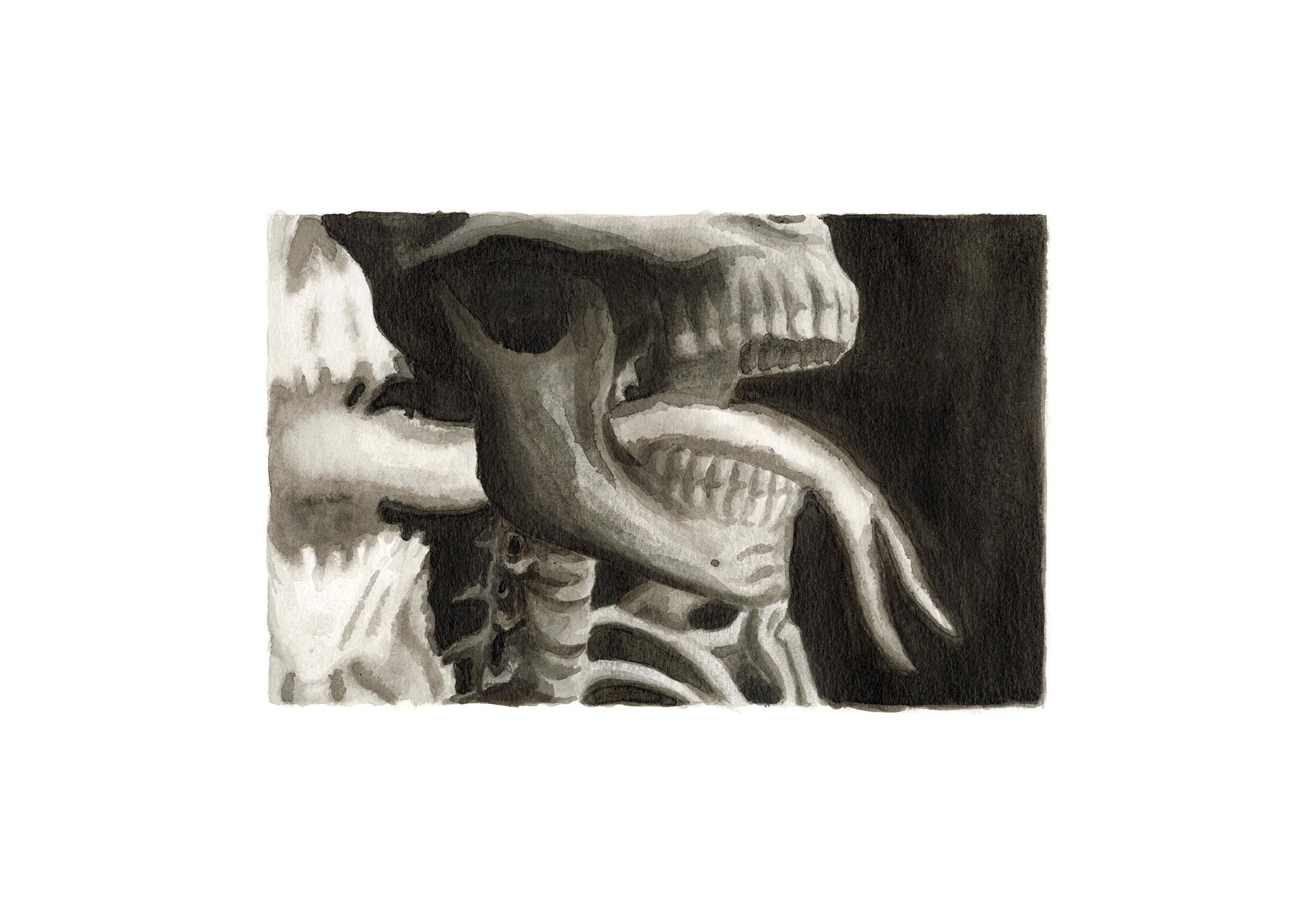 'Do you mean what you say?', (3/3) Ink wash on A3 sized paper.