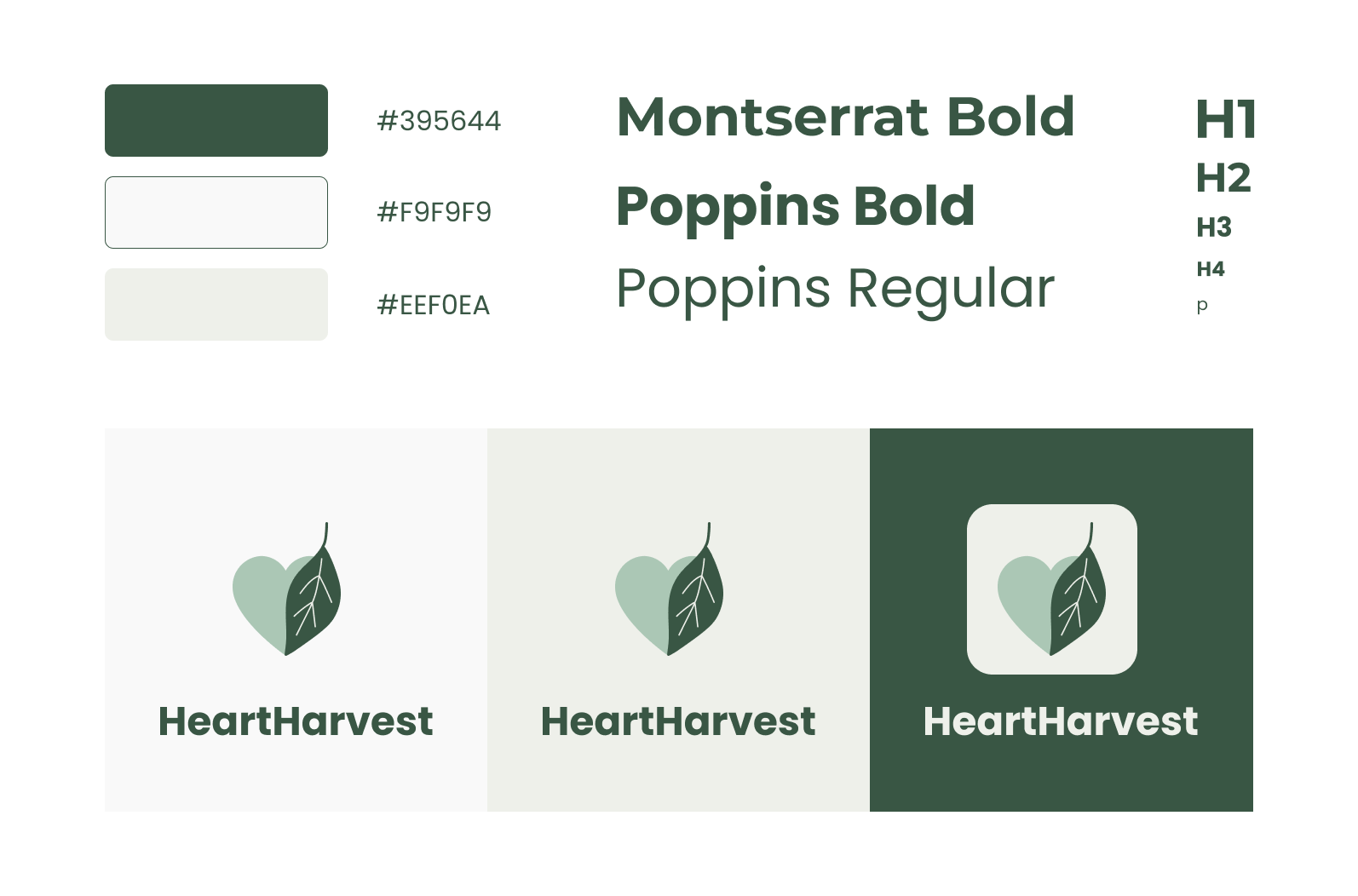 App branding - color scheme and typography