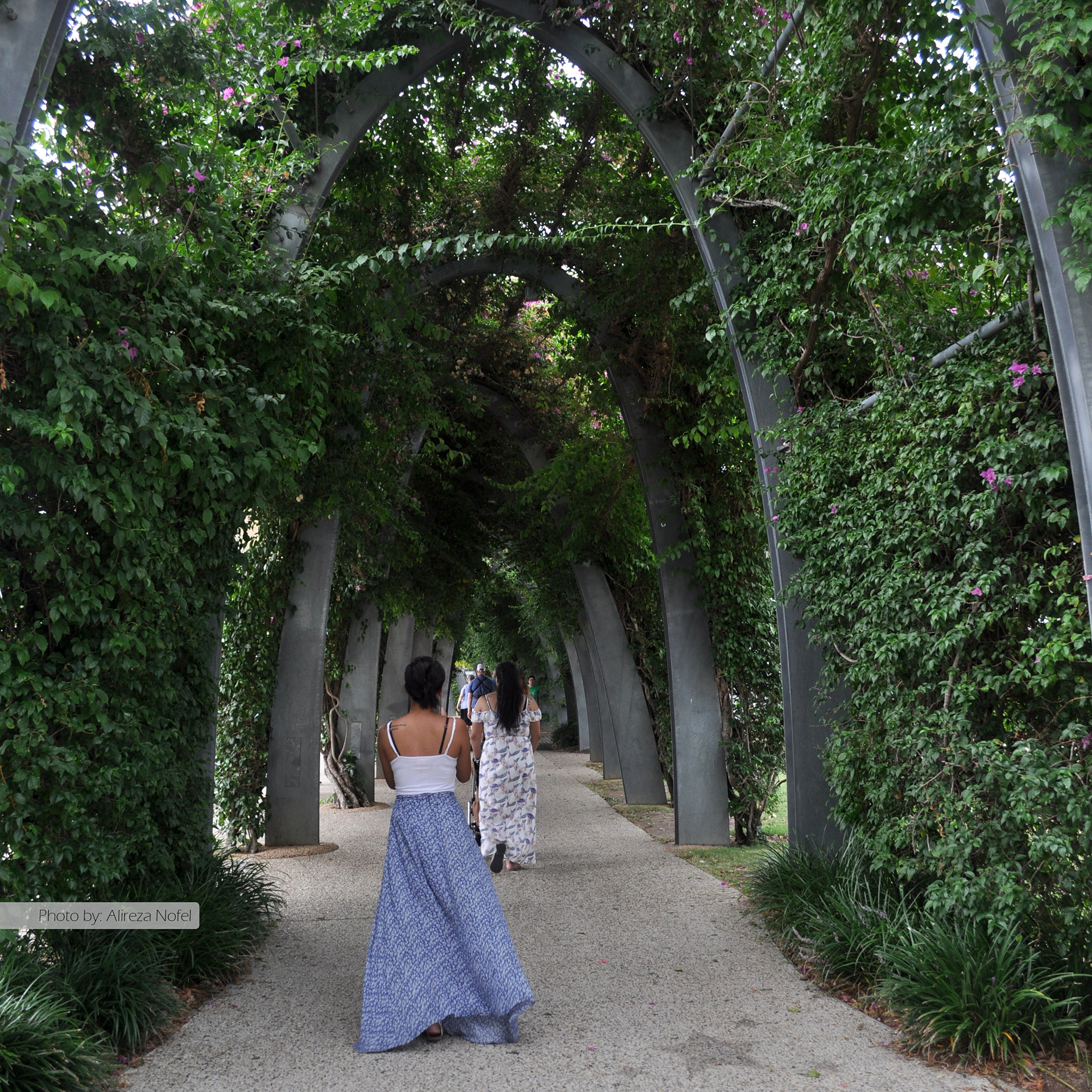 South Bank Parklands | South Brisbane, QLD