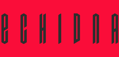 Echidna Creative Studio