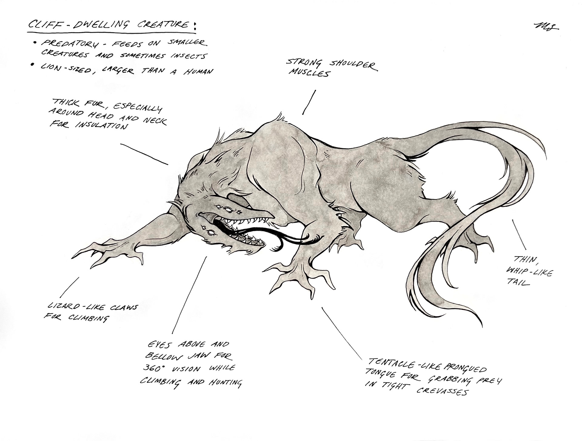 Cliff Dweller Design