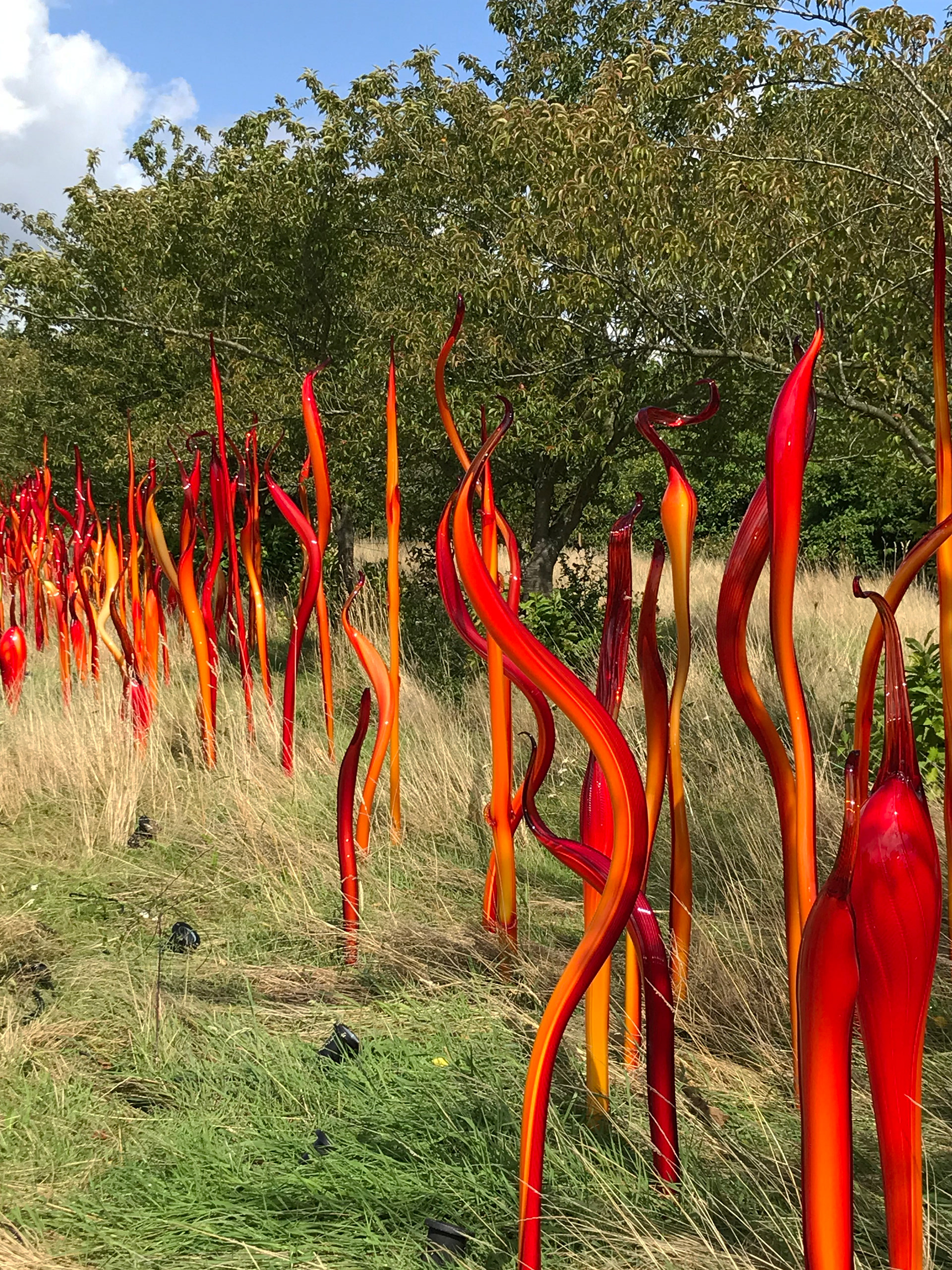 chihuly at kew