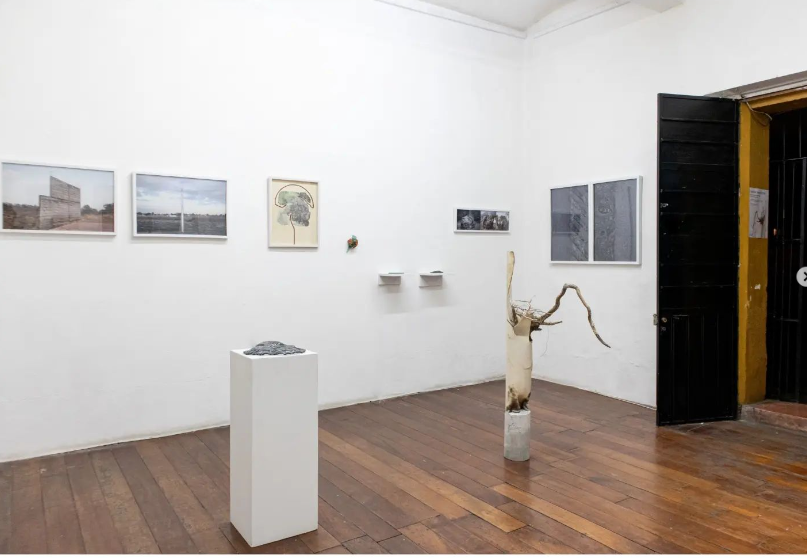 Montaje de la exposición en GUM Galería (Oaxaca, 2023). 