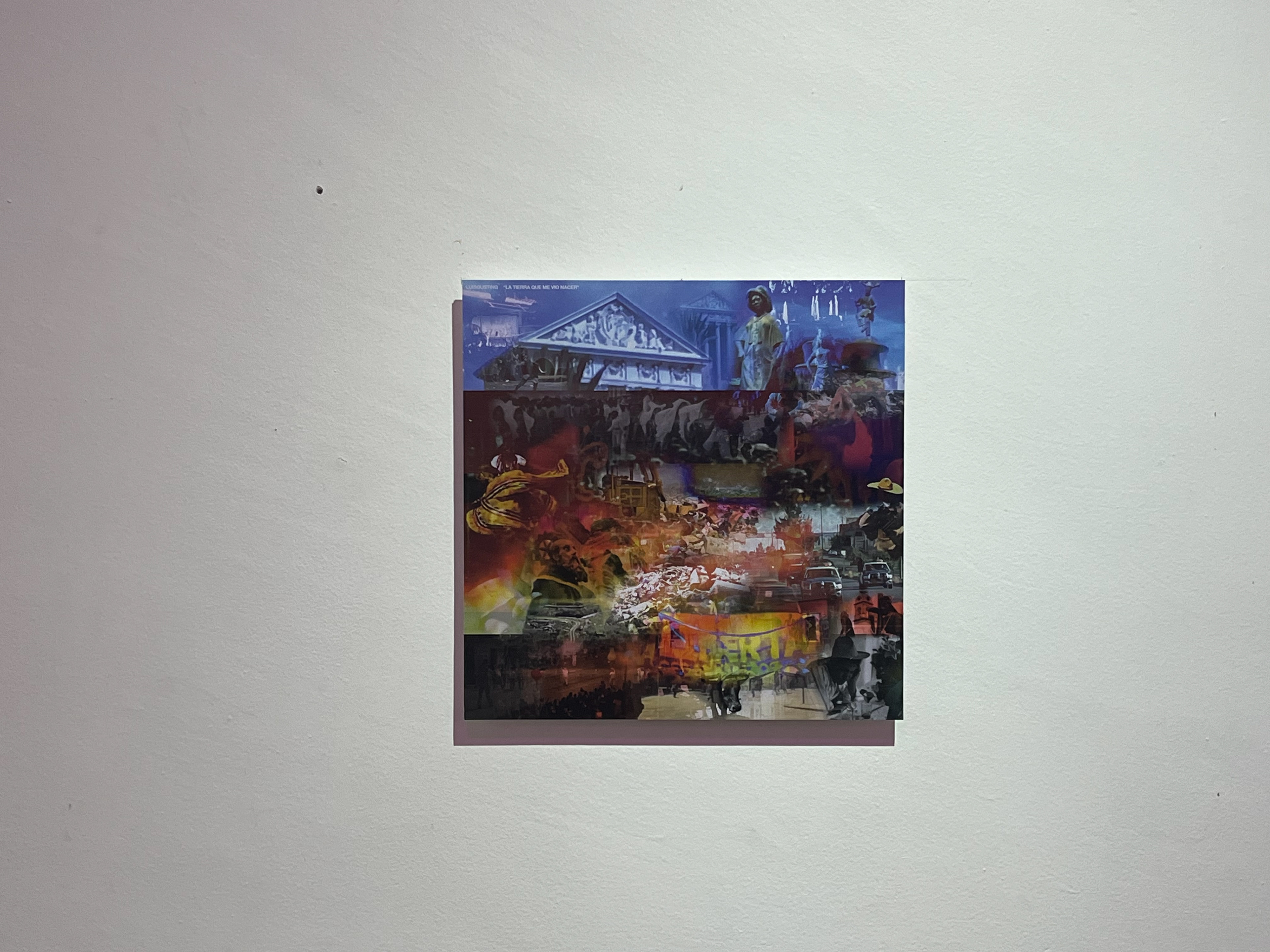 Obra de Luisgusting, Casa Bestia (Oaxaca, 2024). 