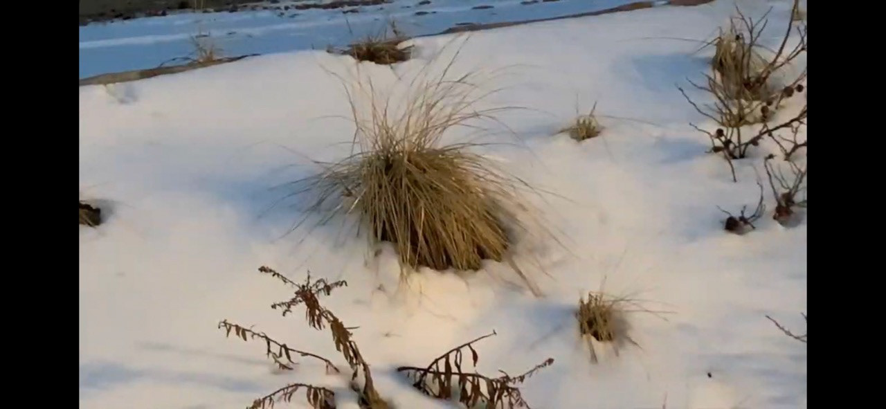 “Extremely Soft” Video Screenshot 2m 3s