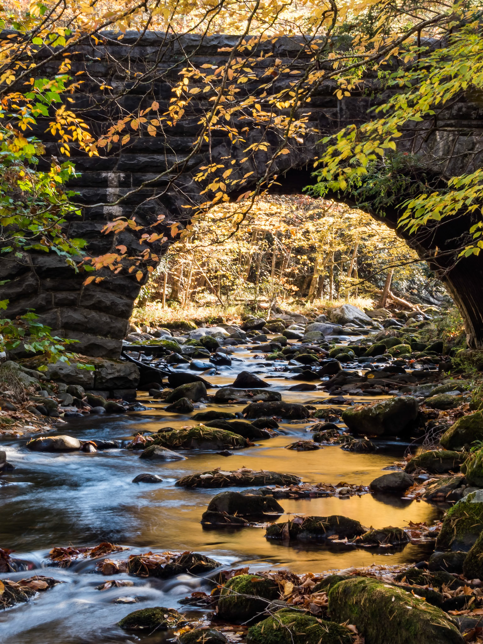 Smoky Mountains Bridge