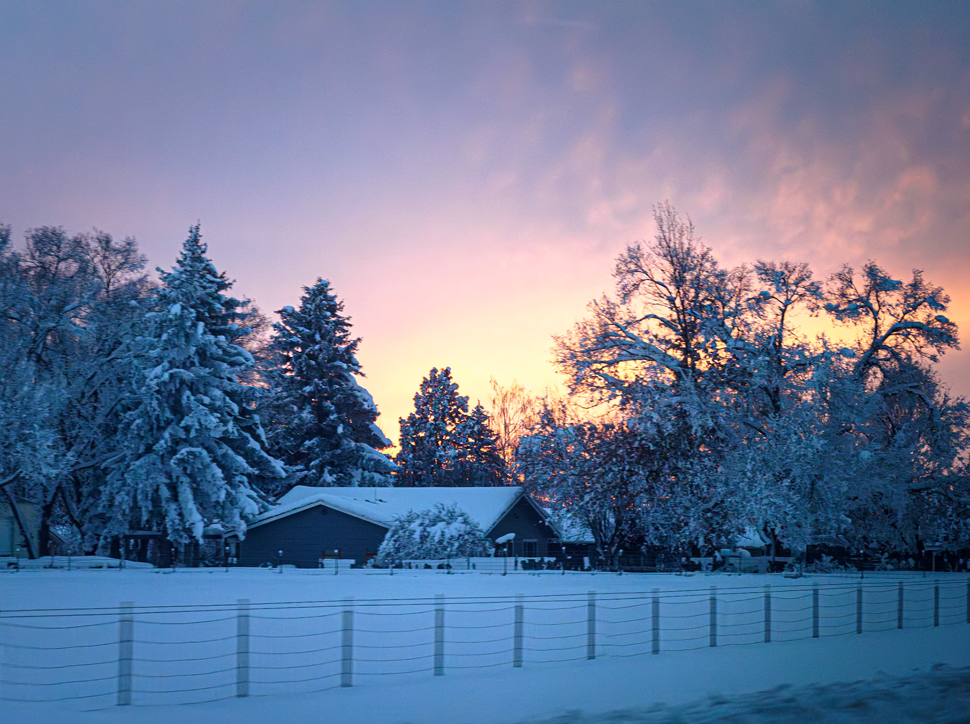 Snowy Sunset Farm, Oregon