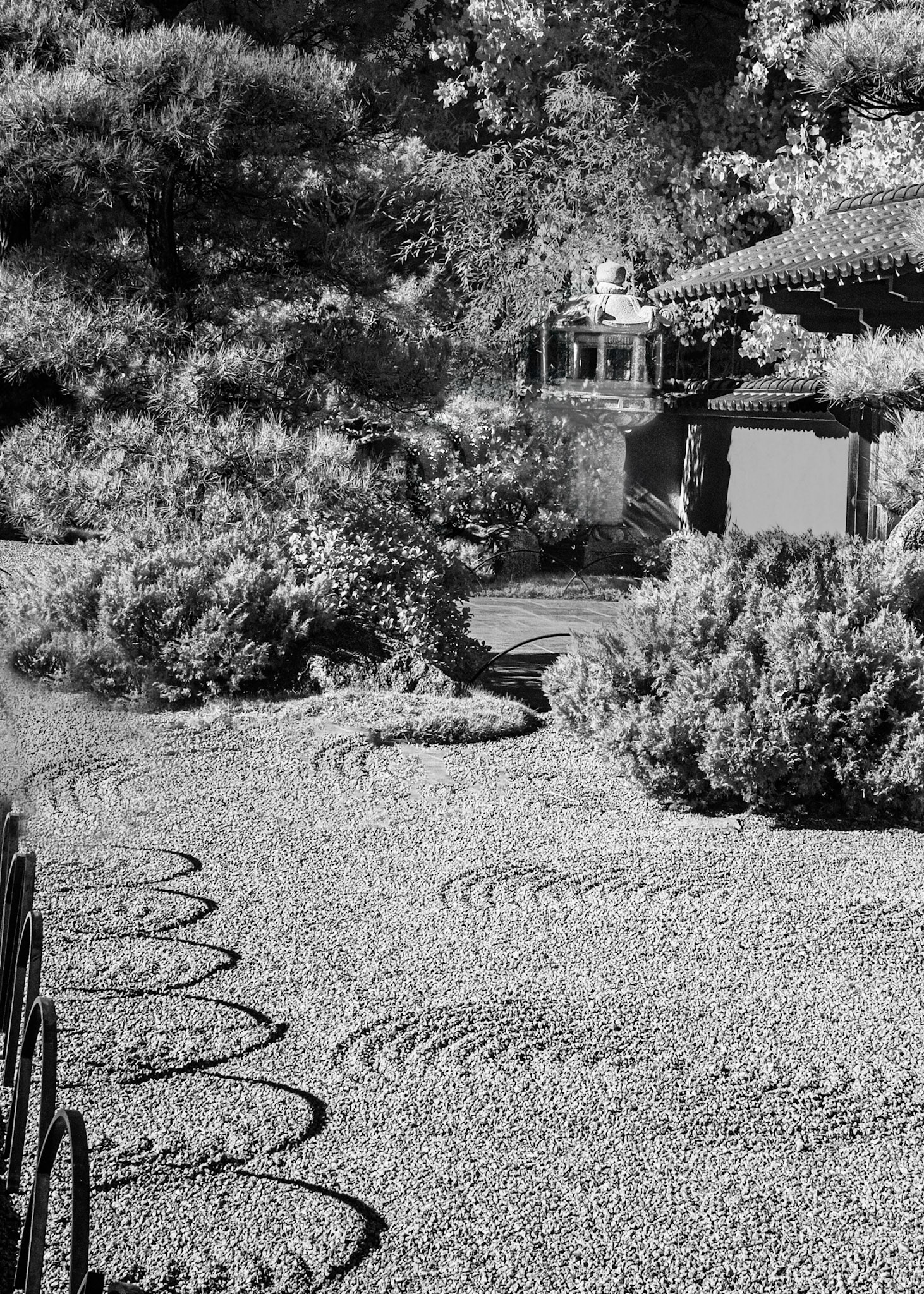 Monochrome Japanese Garden