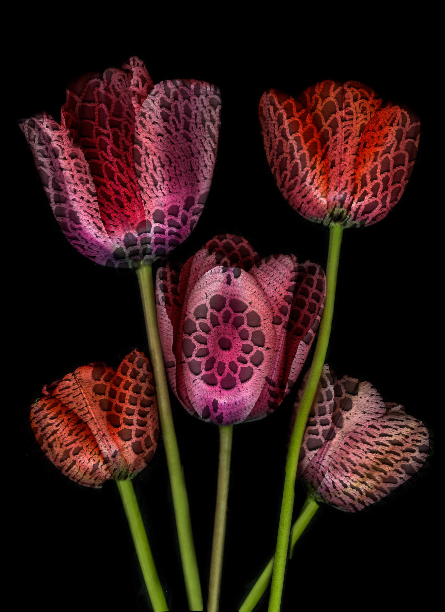 Crocheted Tulips