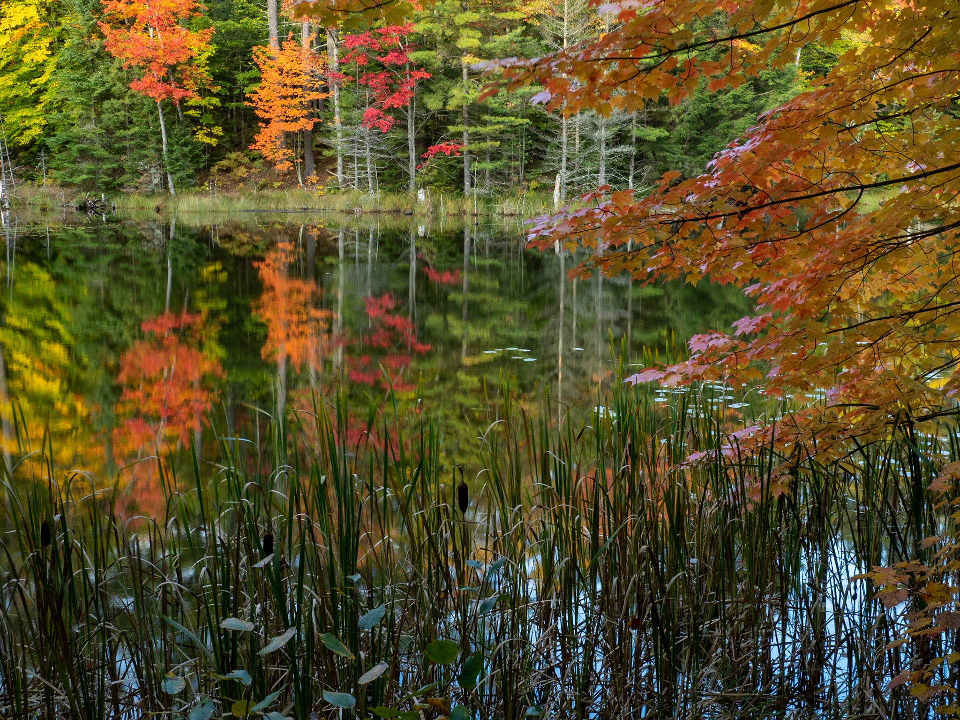 Autumn Reflections, Michigan Upper Peninsula