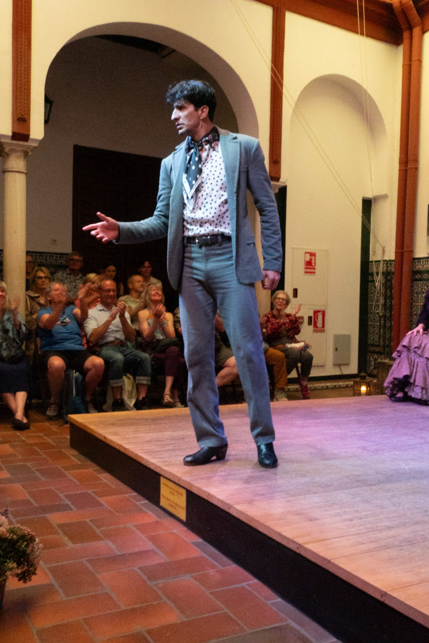 Flamenco Dancer