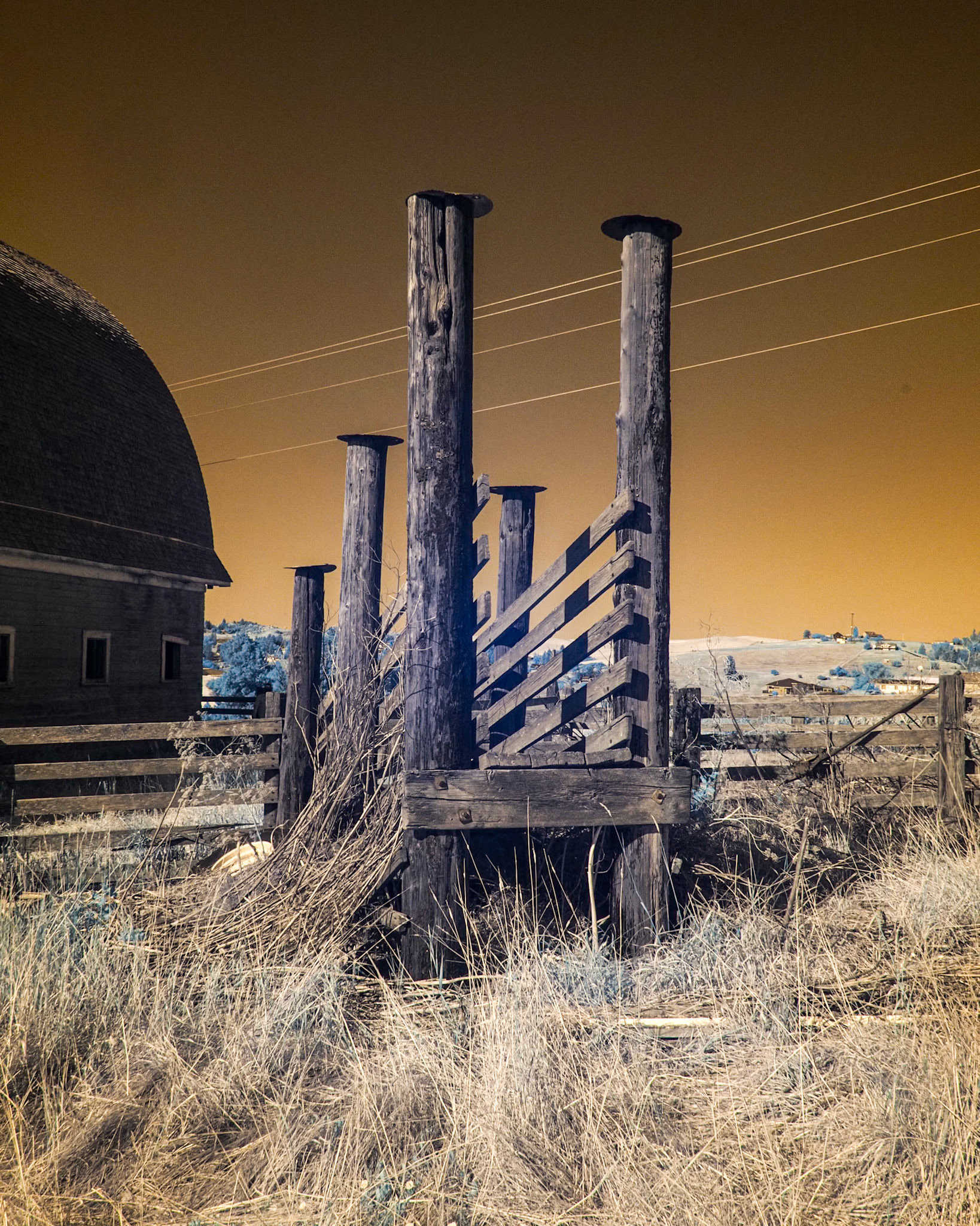 Cattle Ramp, Wyoming