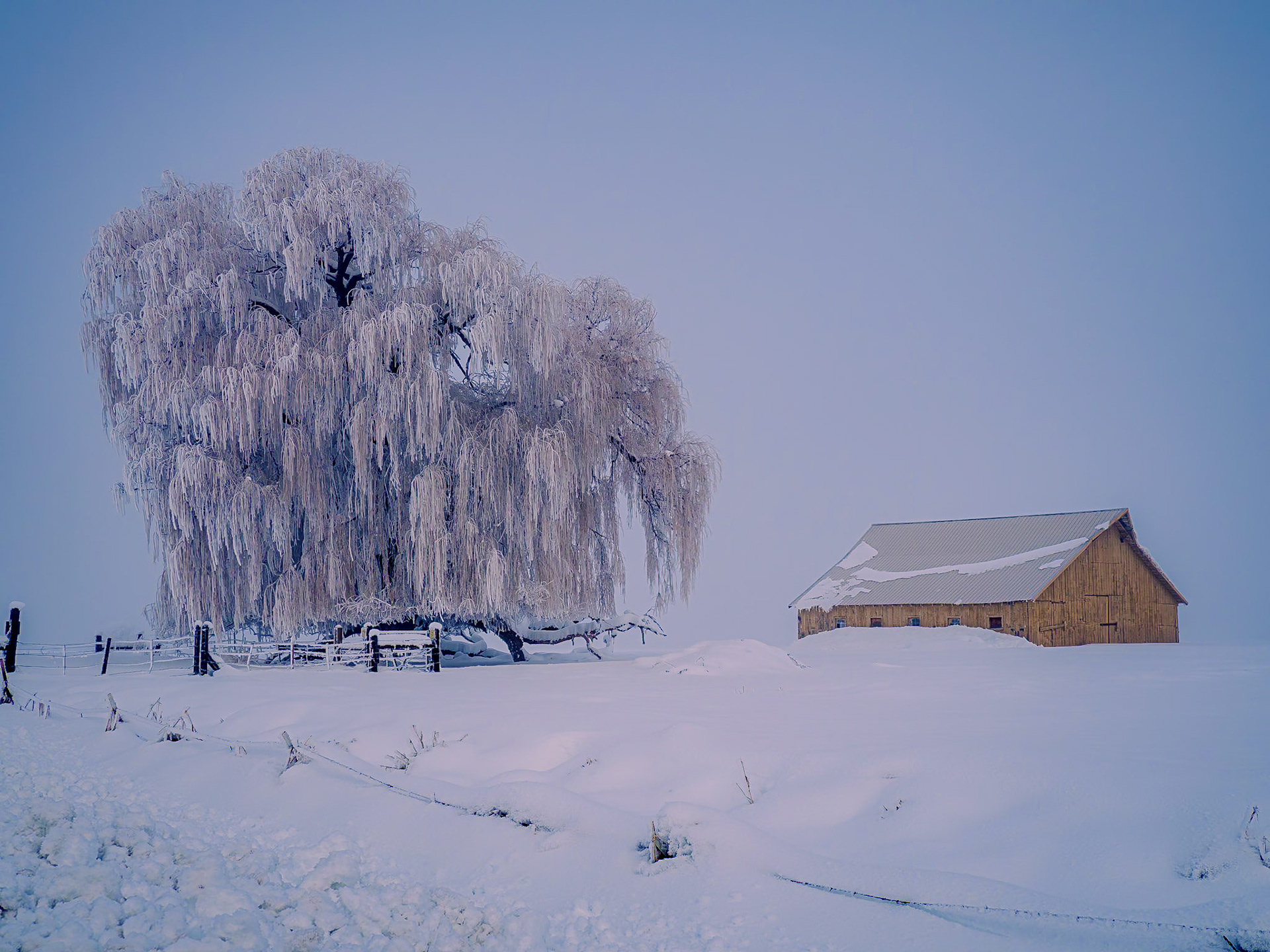 Snowy Barn, Klamath Falls, Oregon