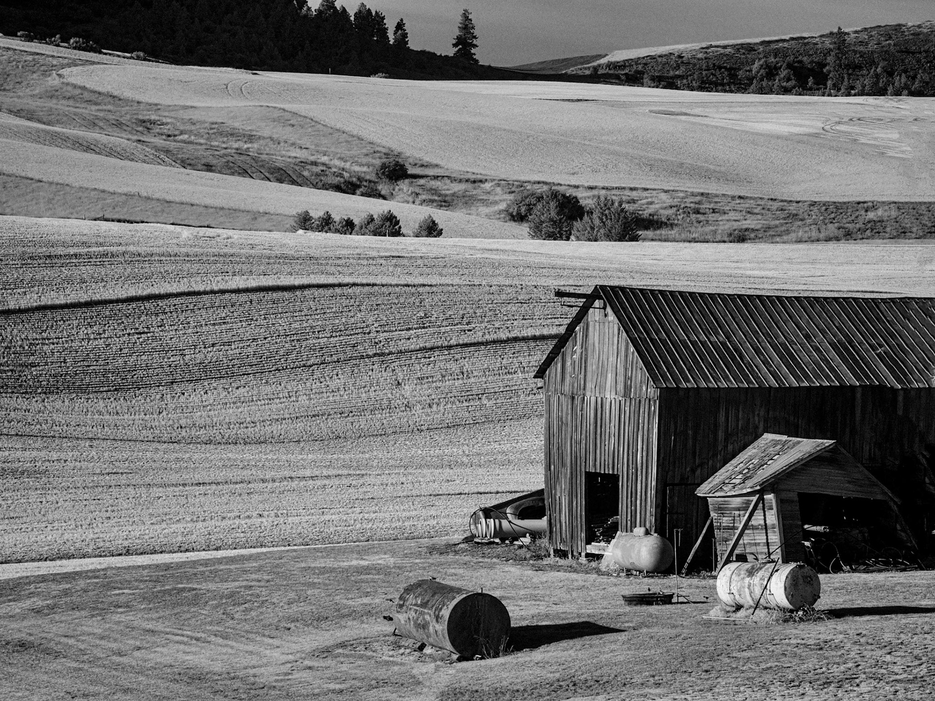 Infrared Palouse