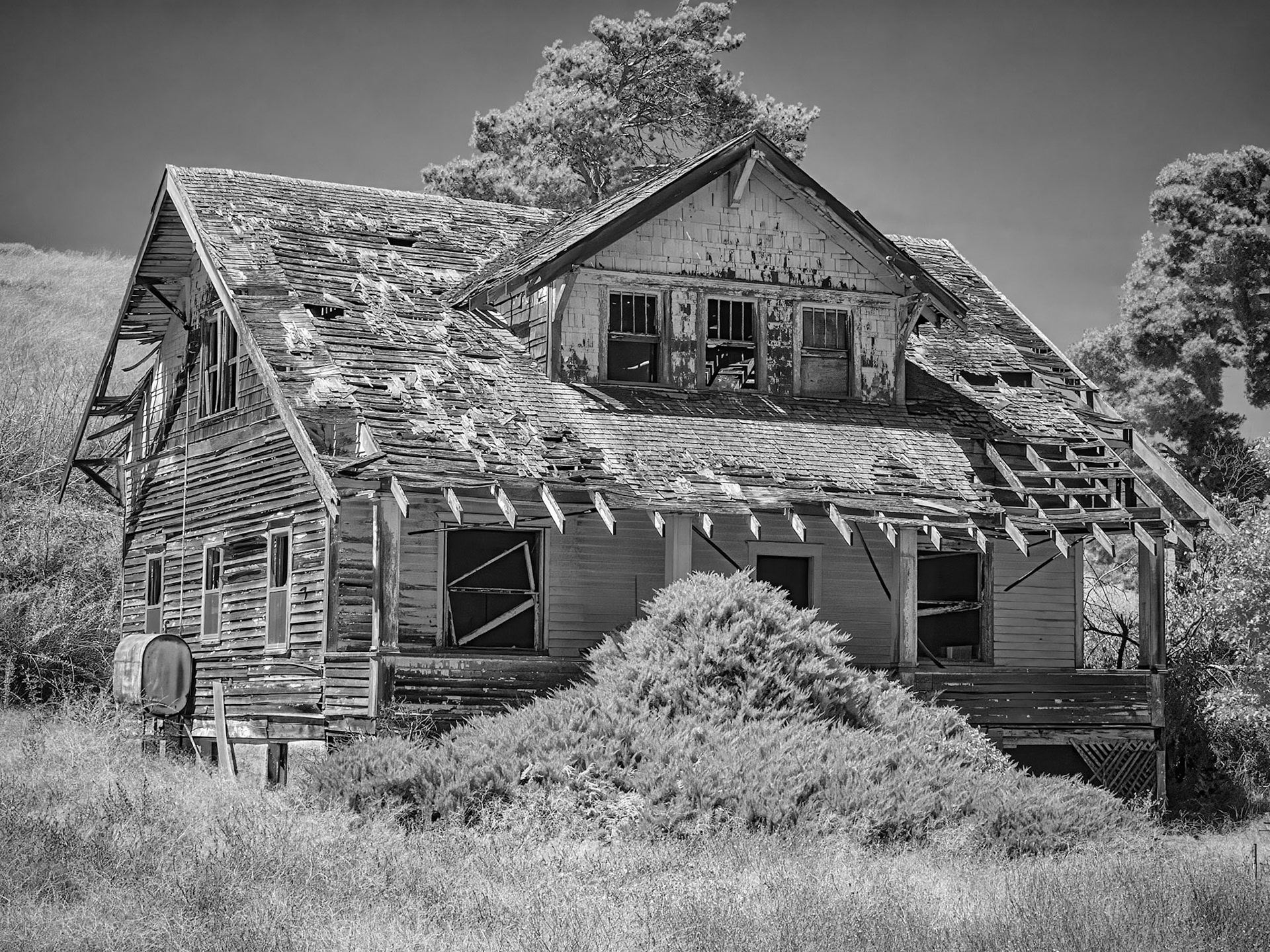 Infrared House, Palouse, WA