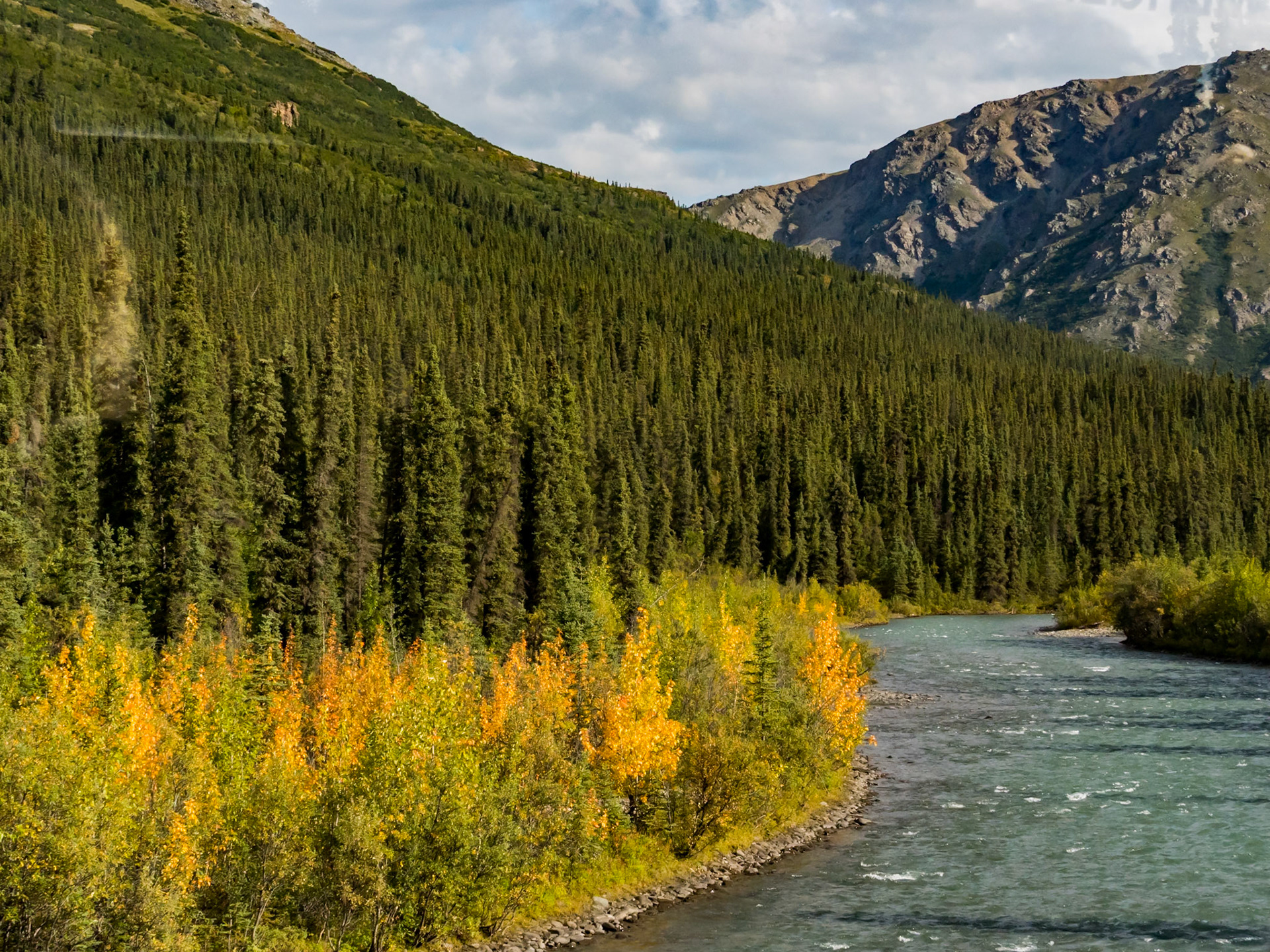 Autumn Colors, Alaska
