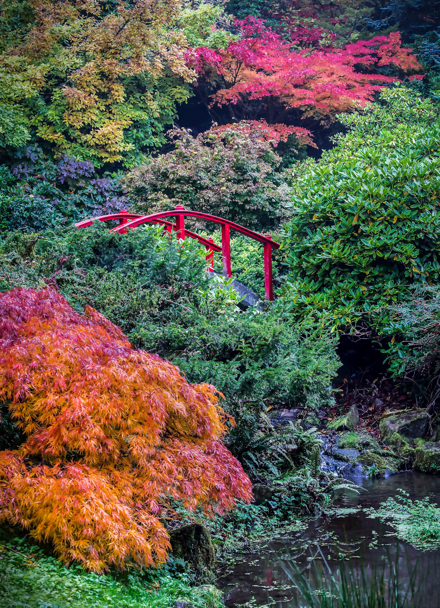 Kubota Bridge, Accepted 2014 NW International Exhibition Score 19; Sold 2014 Kenmore Art Fair