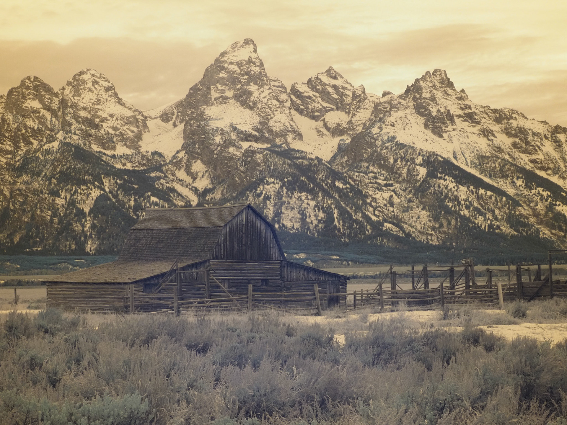 Mormon Barn, Sepia, Wyoming