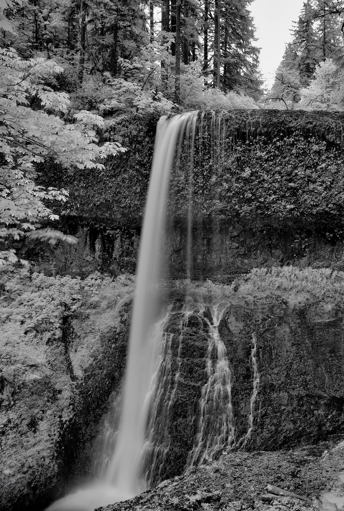 Middle North Falls, Silver Falls Park, Oregon