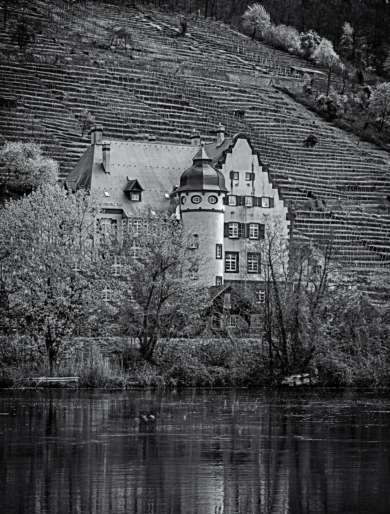 House on the Rhine