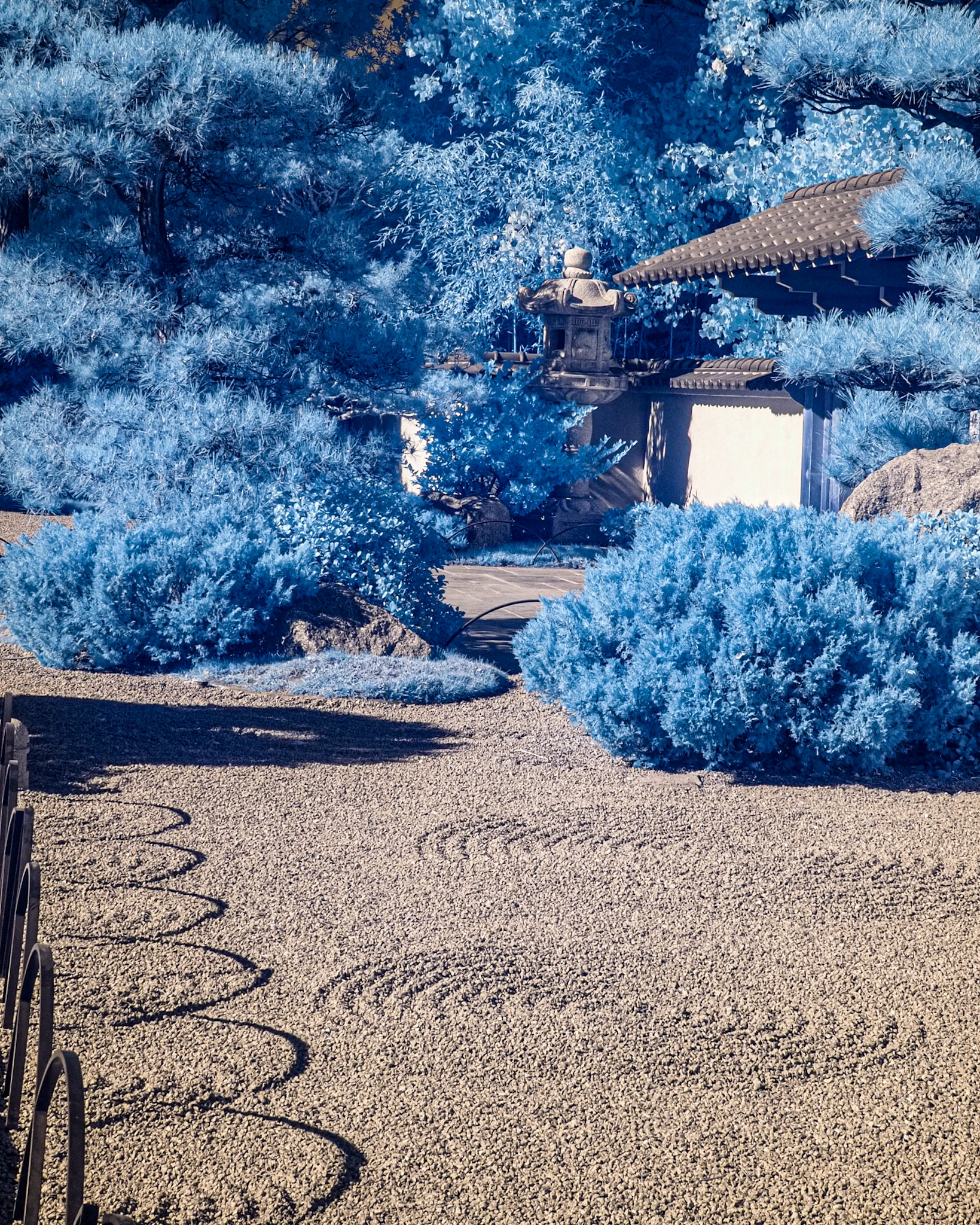 Infrared Japanese Garden