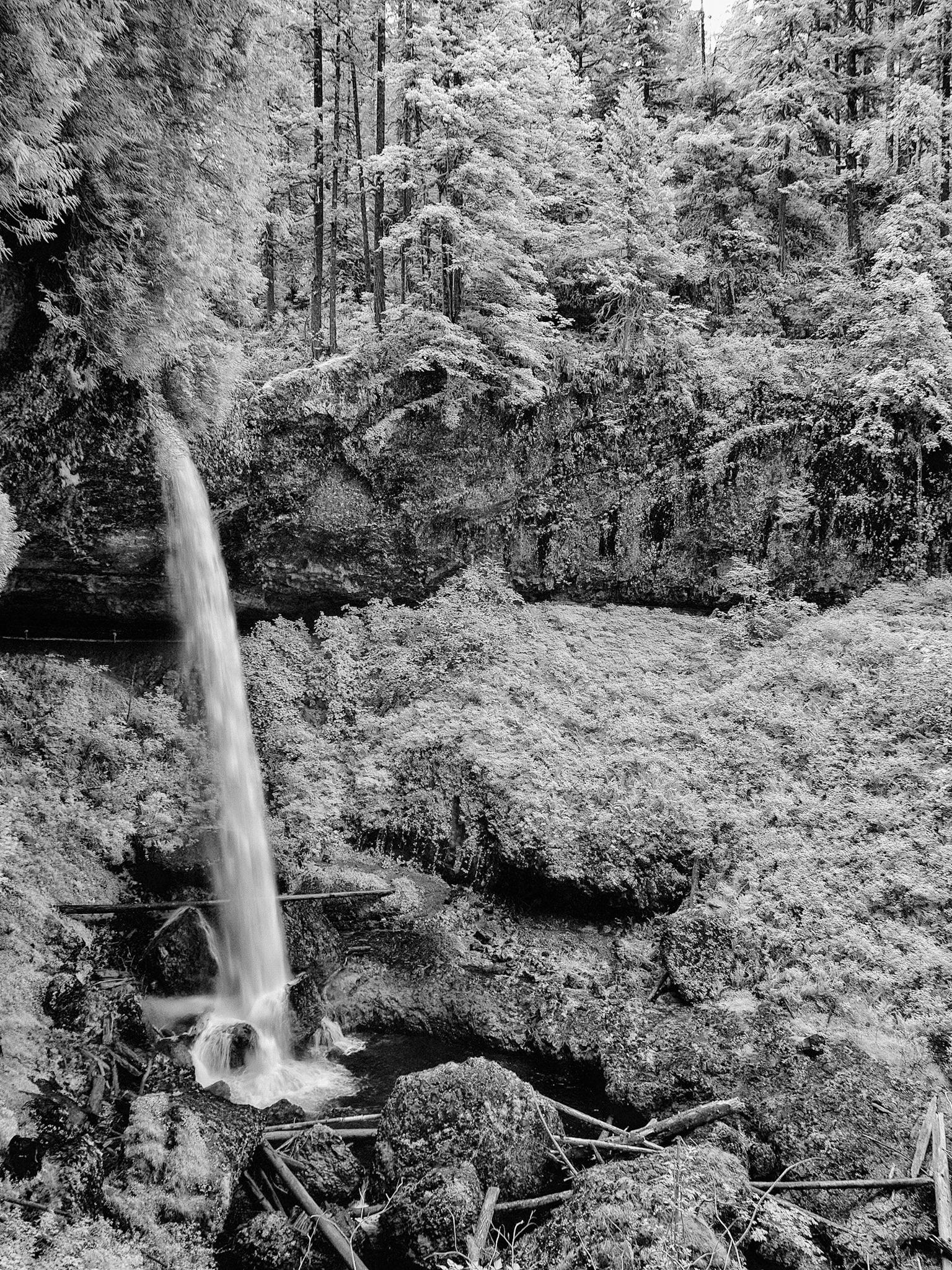 South Falls, Silver Falls Park, Oregon