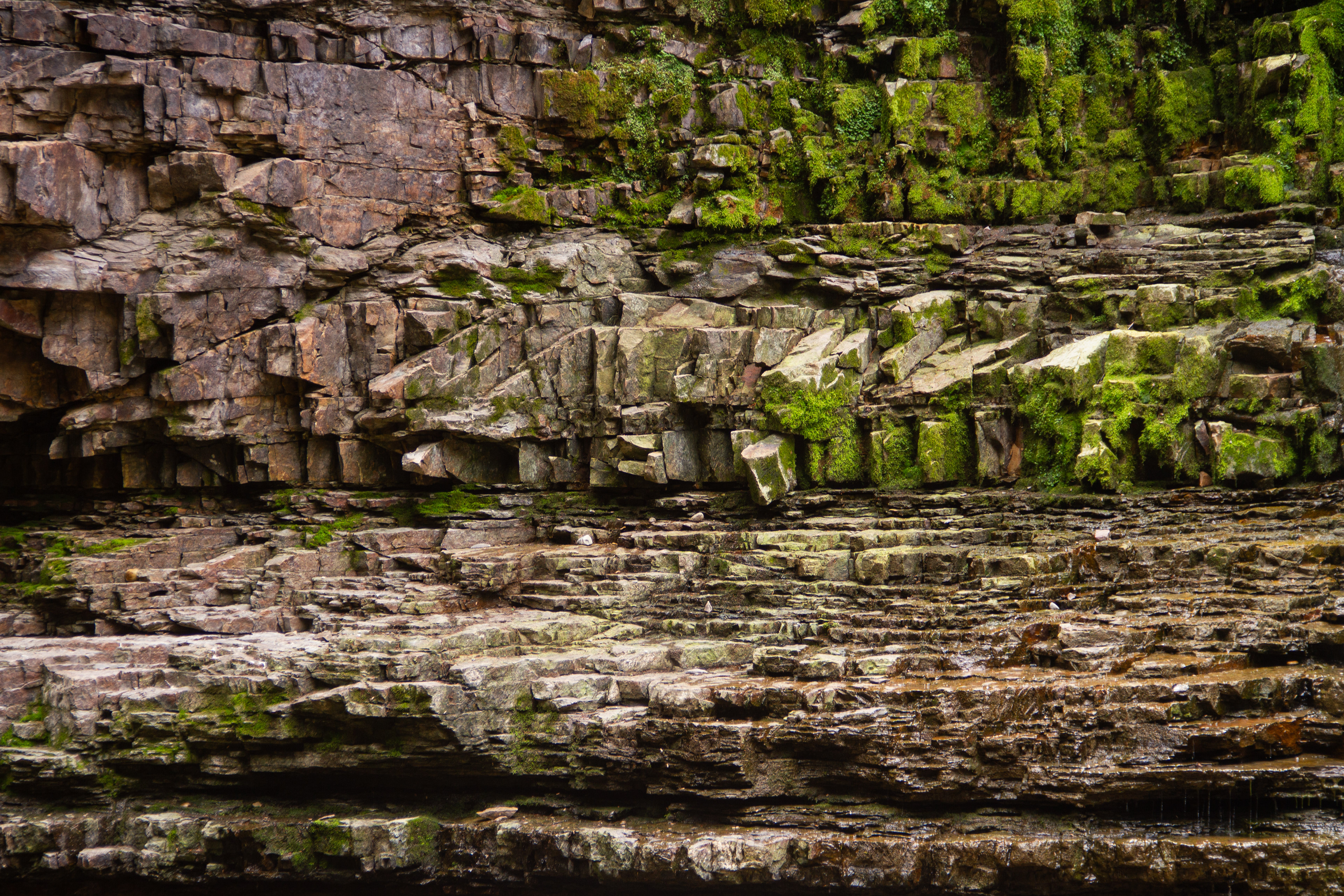 Yellowstone National Park, WY, USA, 2025