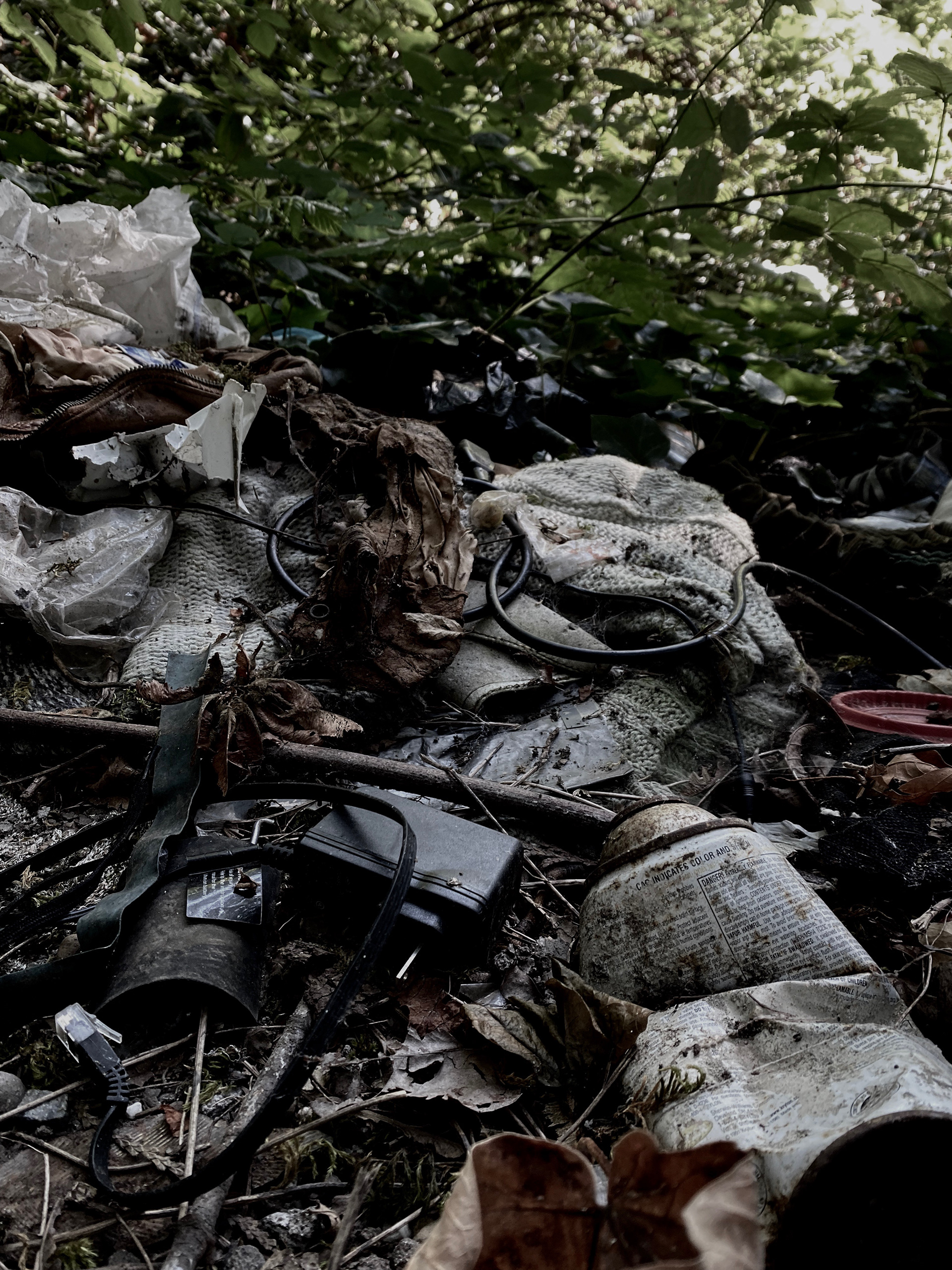 Pollution: Seattle, WA, USA, 2022