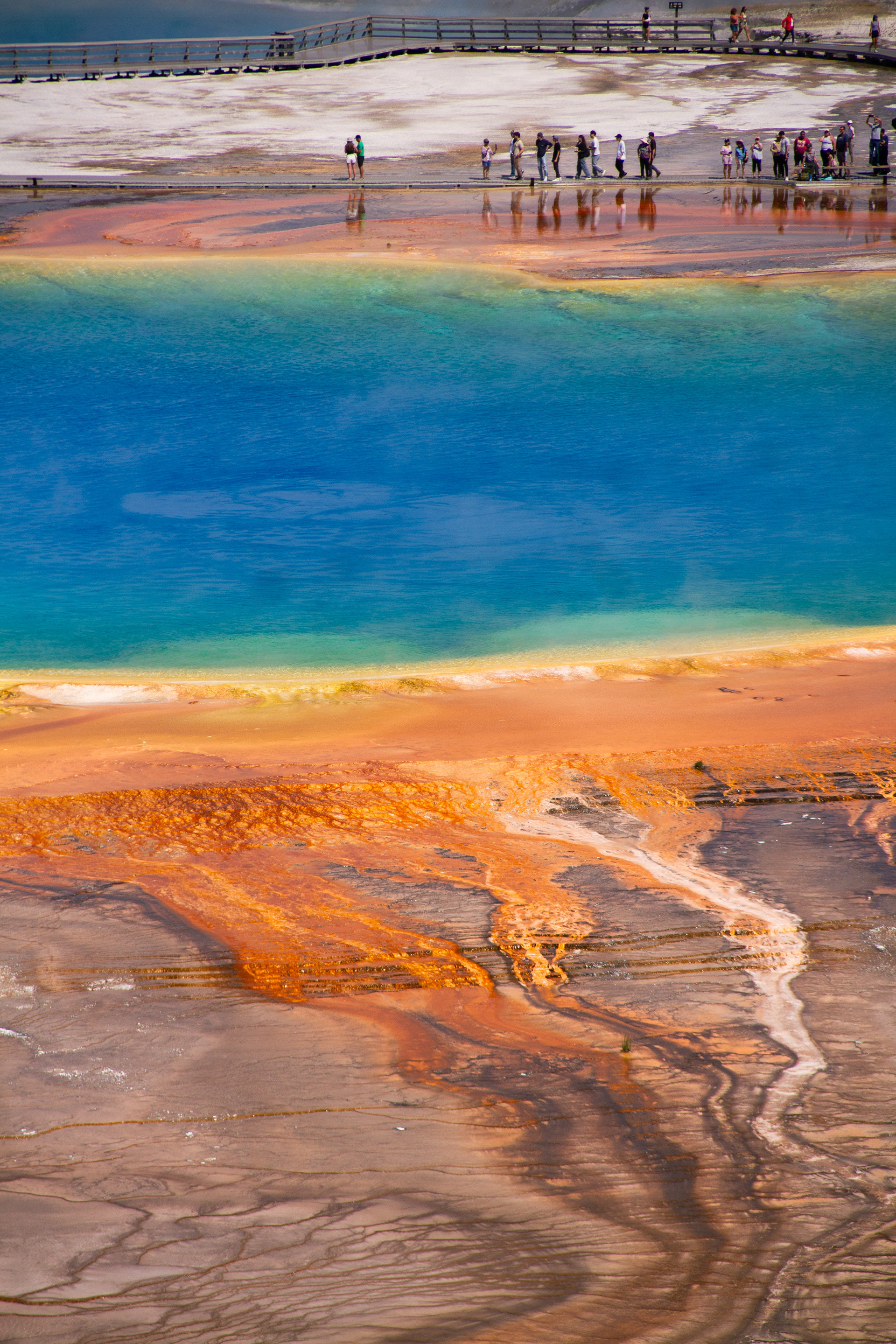 Yellowstone National Park, WY, USA, 2025