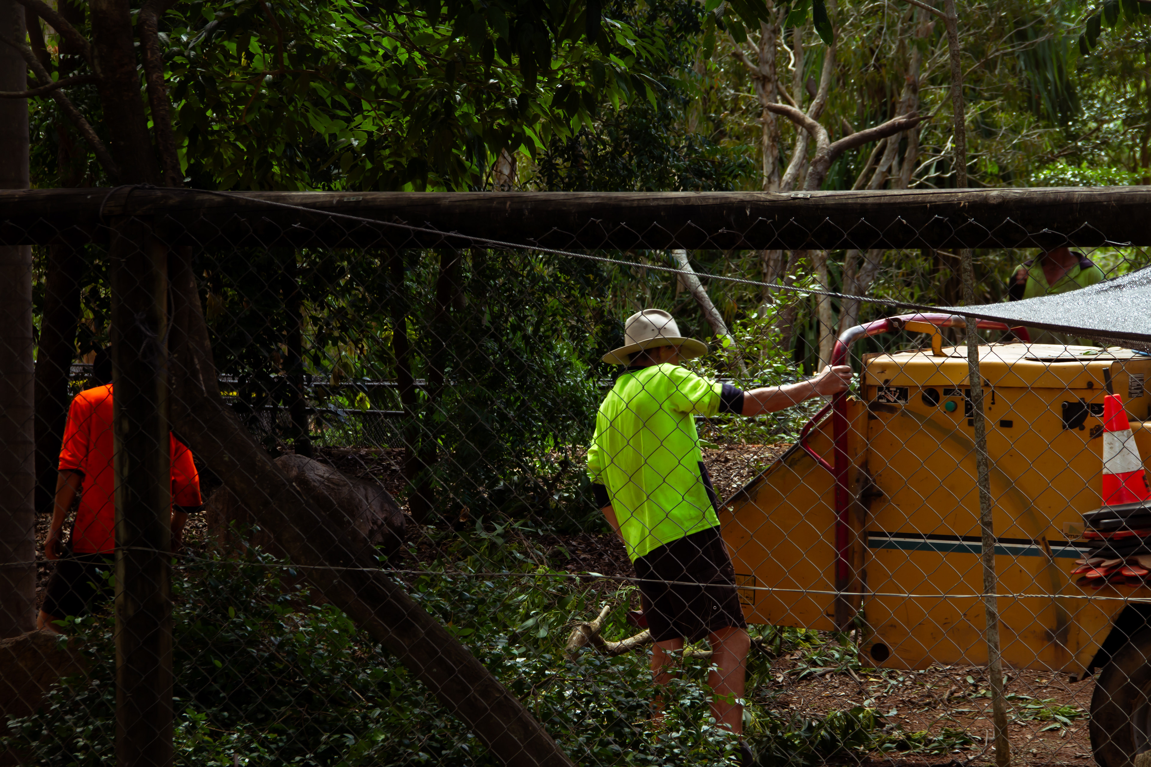 Billabong Sanctuary, AUS, 2024