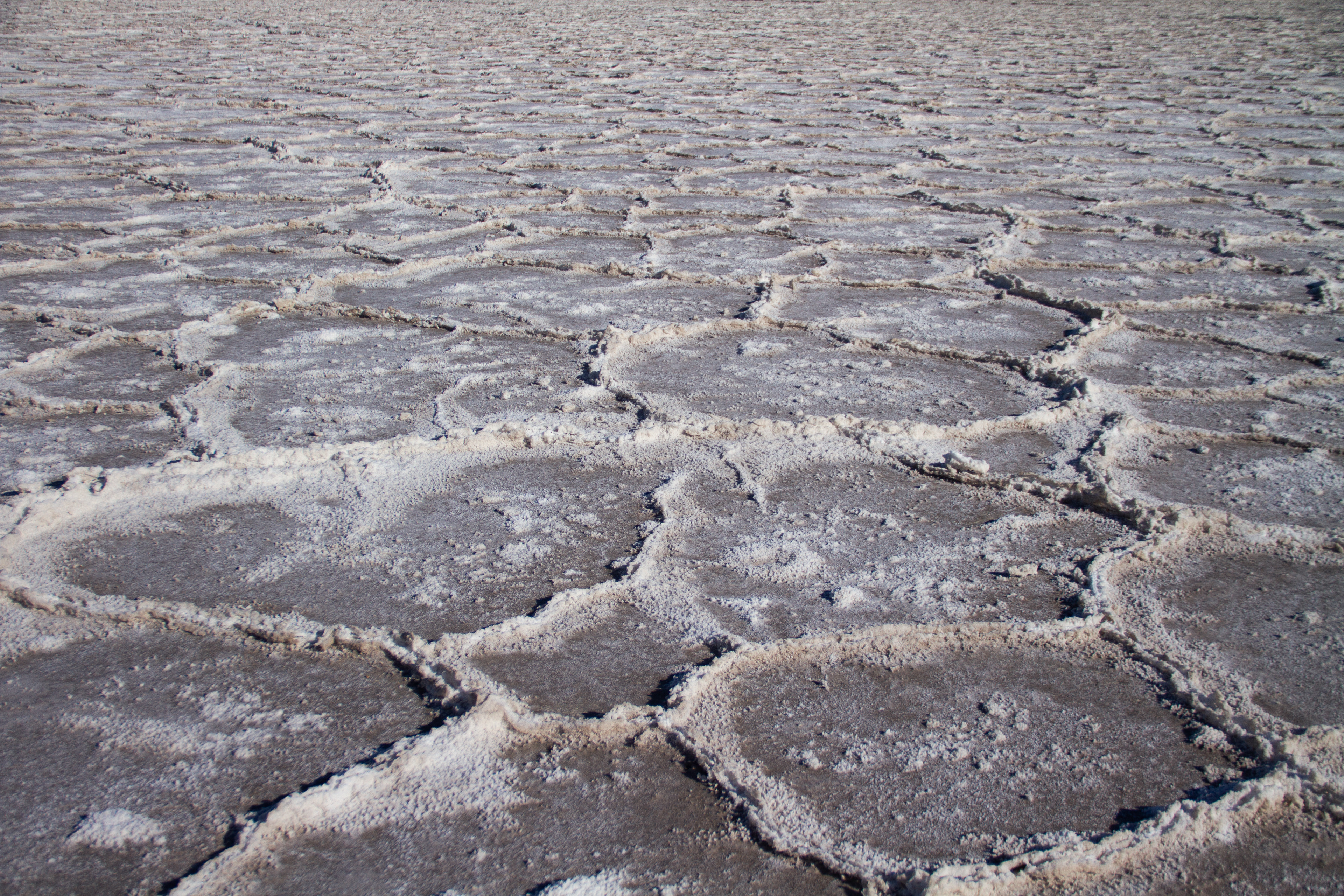 Great Salt Lake, UT, USA, 2025