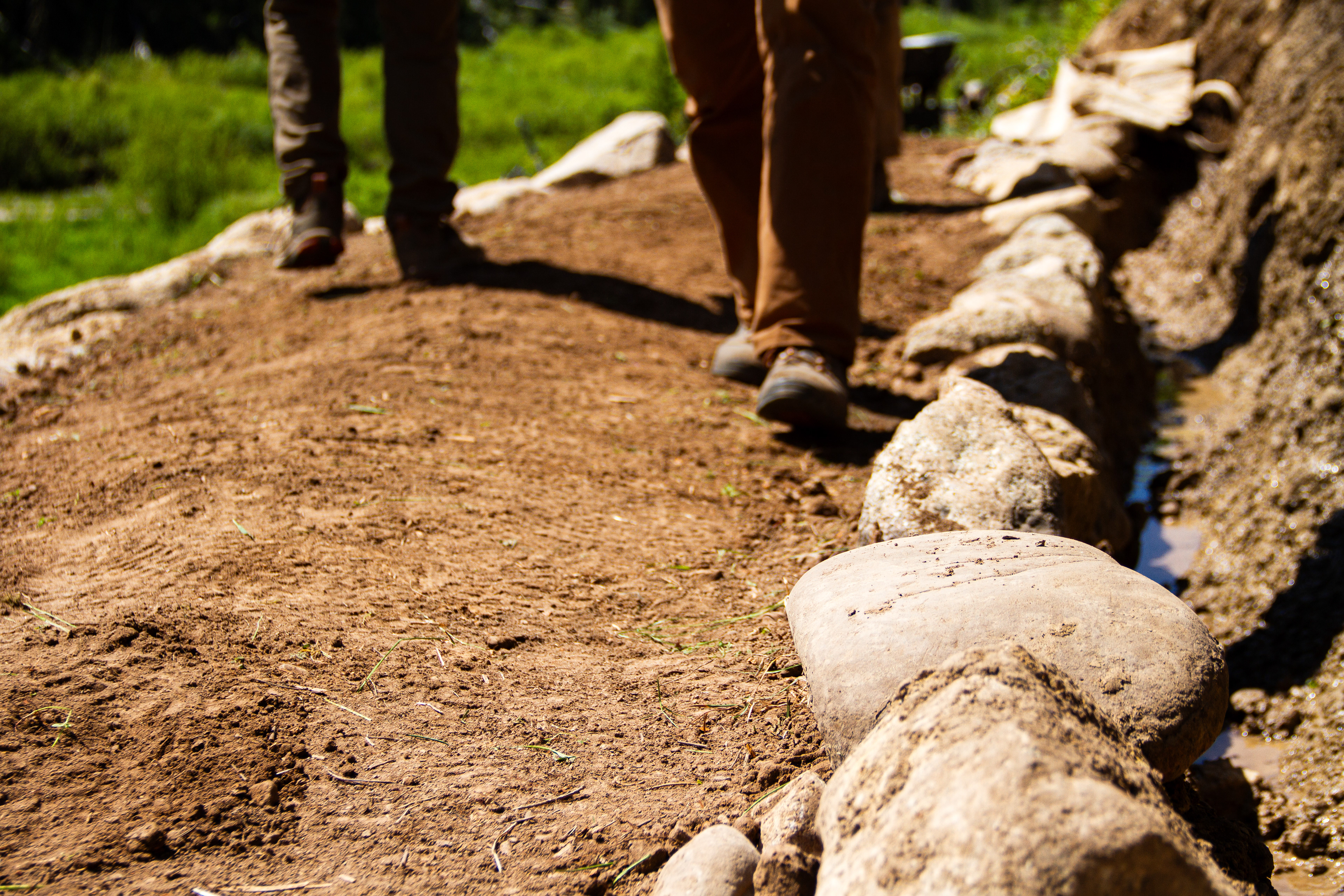 Jackson, WY, USA, 2025