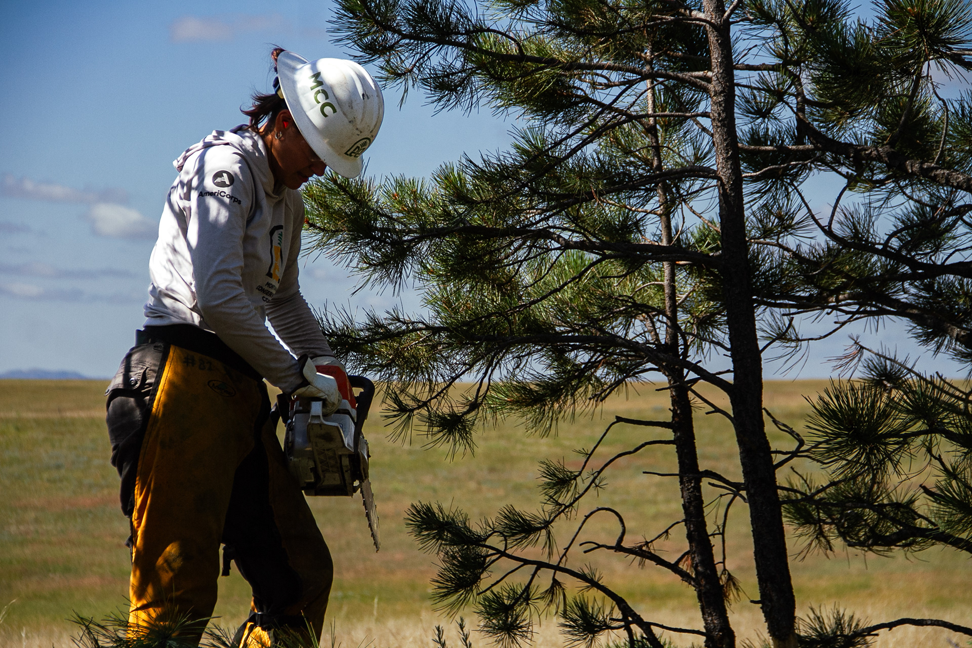 Roundup, MT, USA, 2025