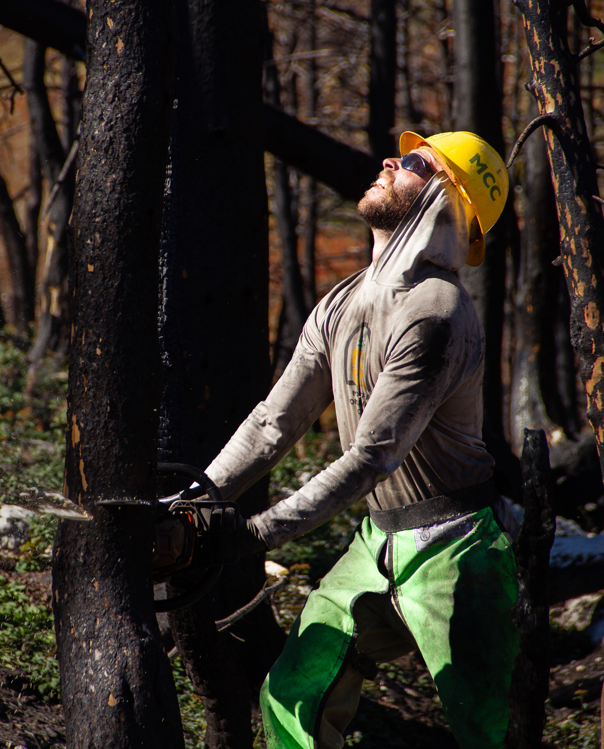 Bighorns, WY, USA, 2025