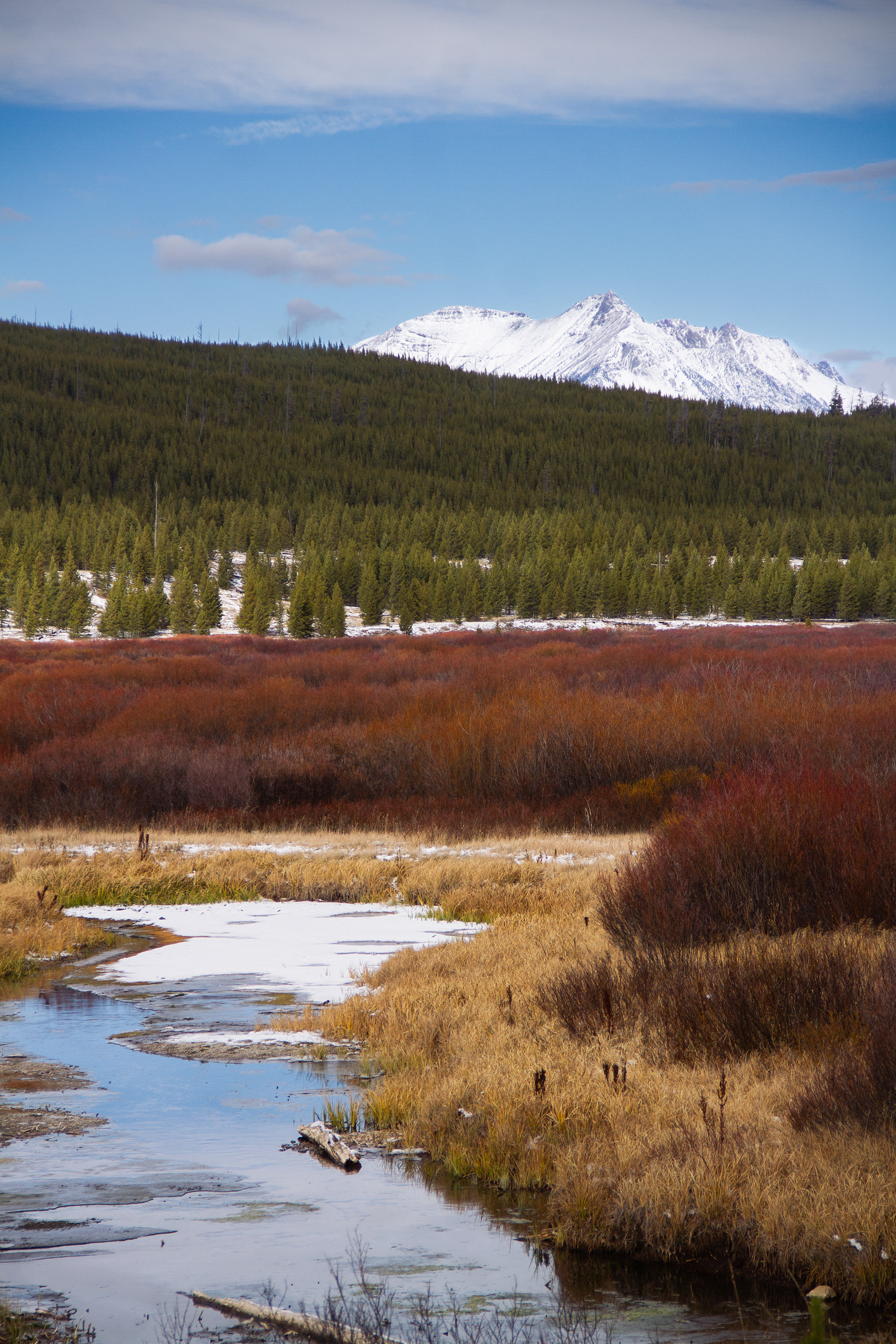 Yellowstone National Park, WY, USA, 2025