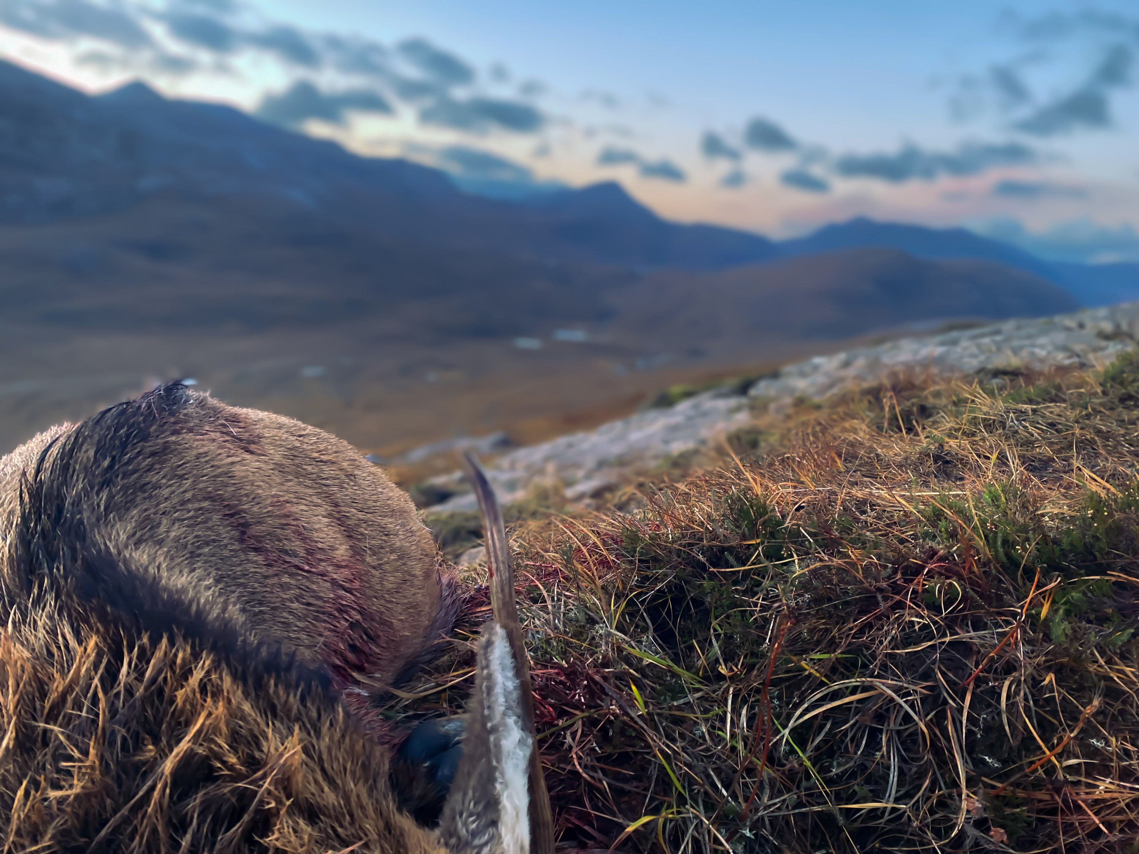 Torridon, Scotland, UK, 2022