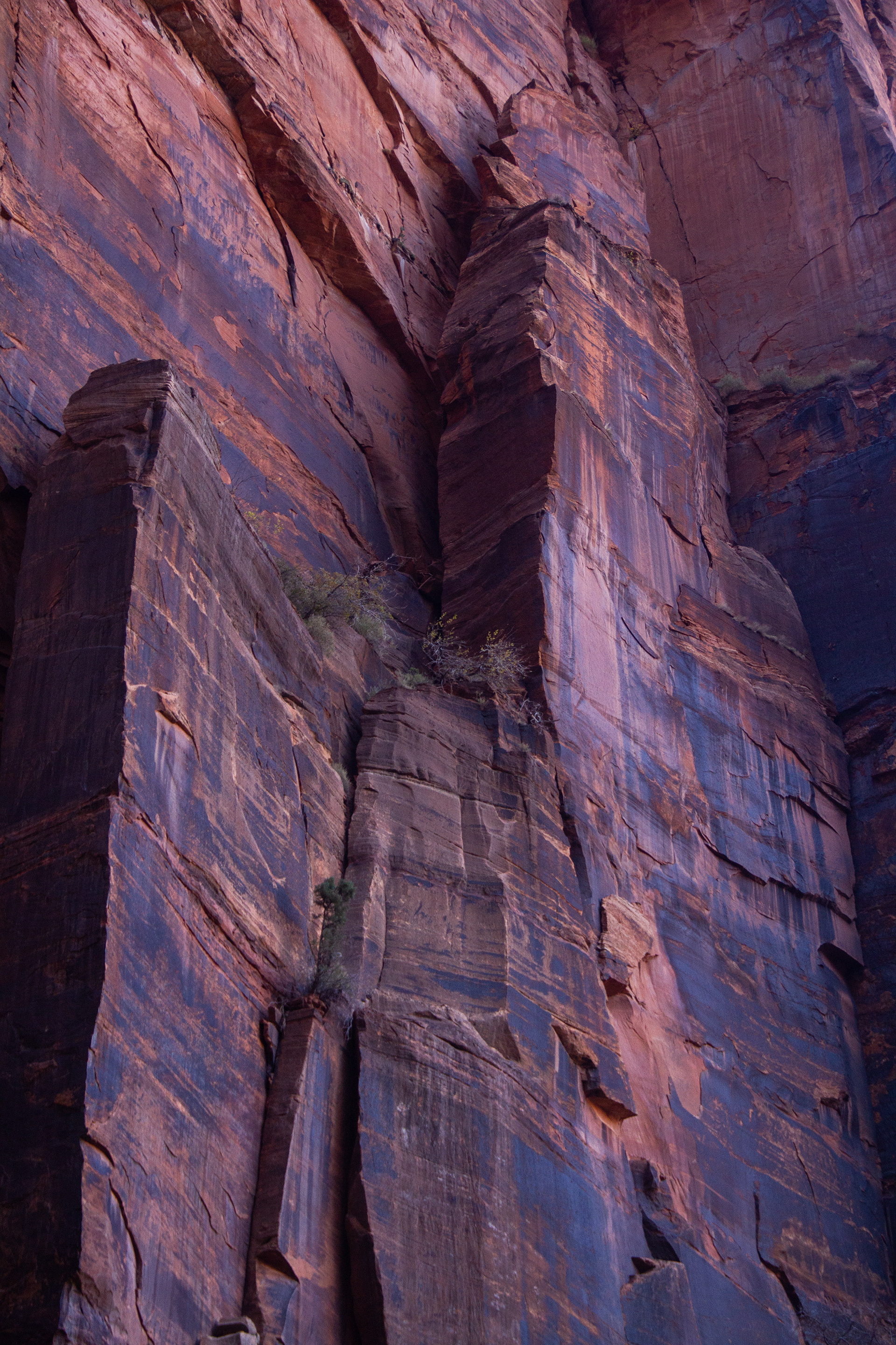 Zion National Park, UT, USA, 2025
