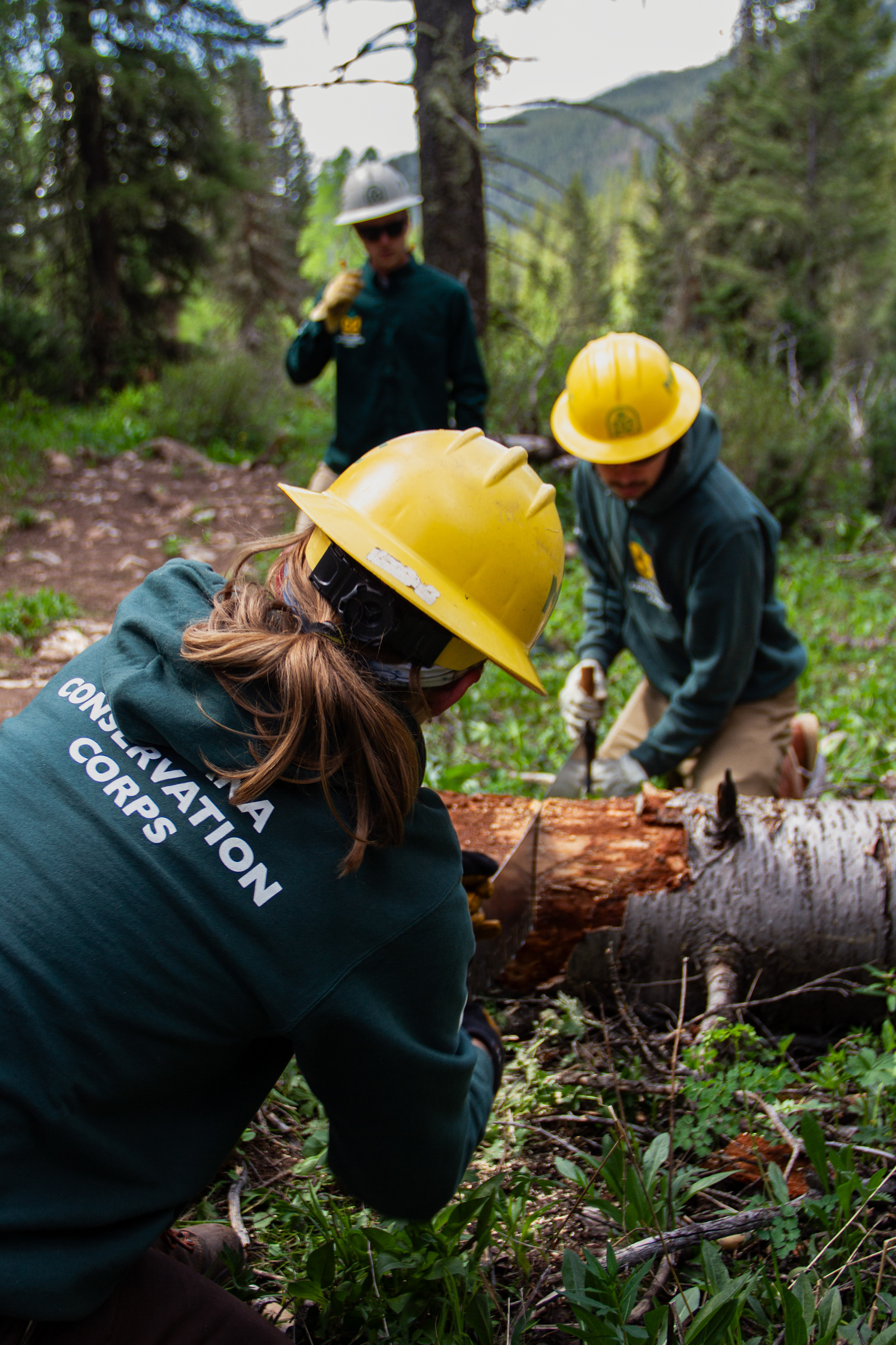 Jackson, WY, USA, 2025