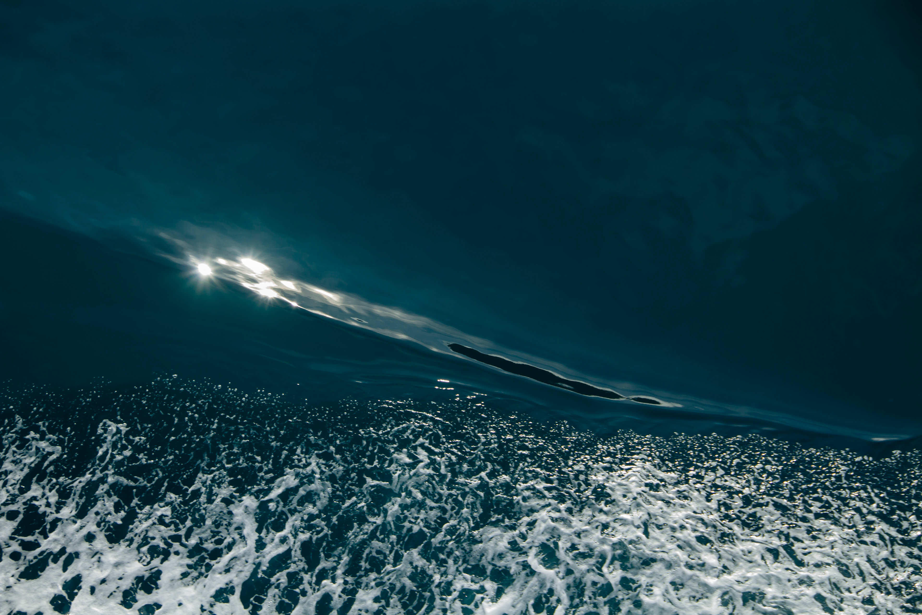 Queen Charlotte Sound, NZ, 2024